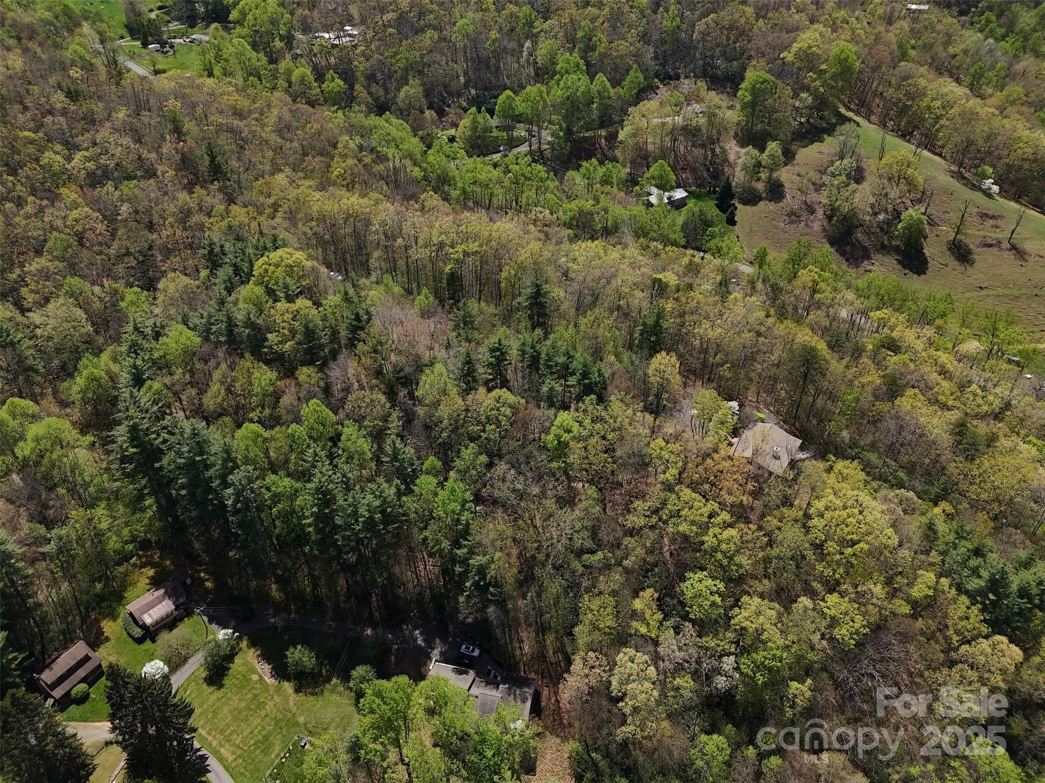 Acreage at Waynesville, photo 20 of 27