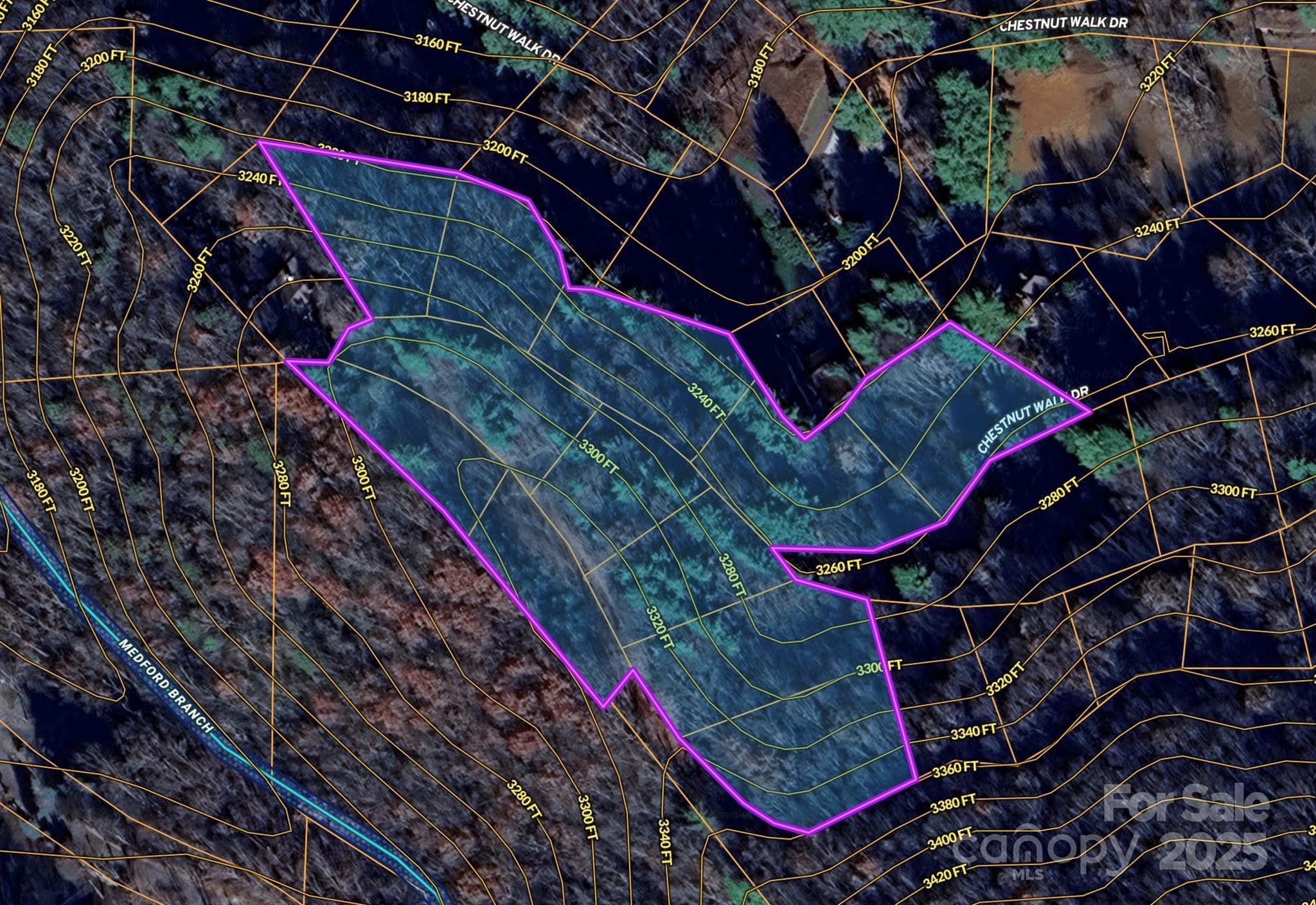 Topo map - Waynesville