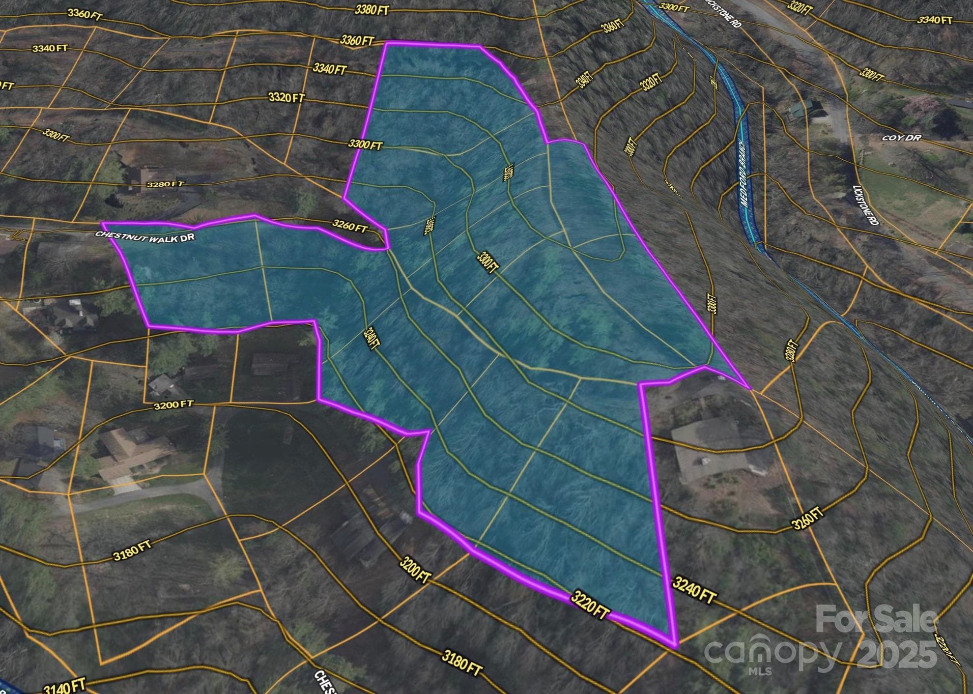 Several nice building options on ridge and in valley 3D Redering - Waynesville