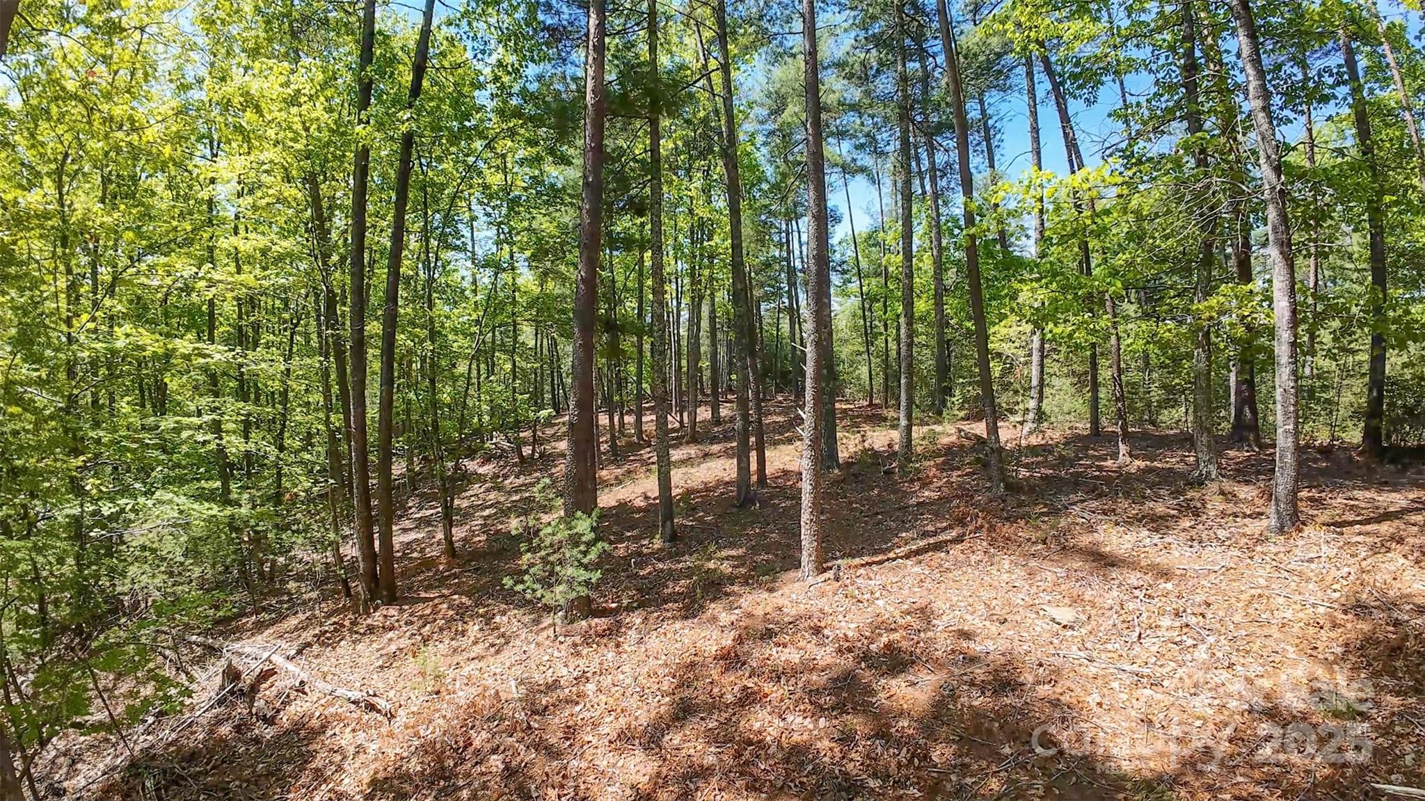 Lot at Nebo, photo 2 of 28