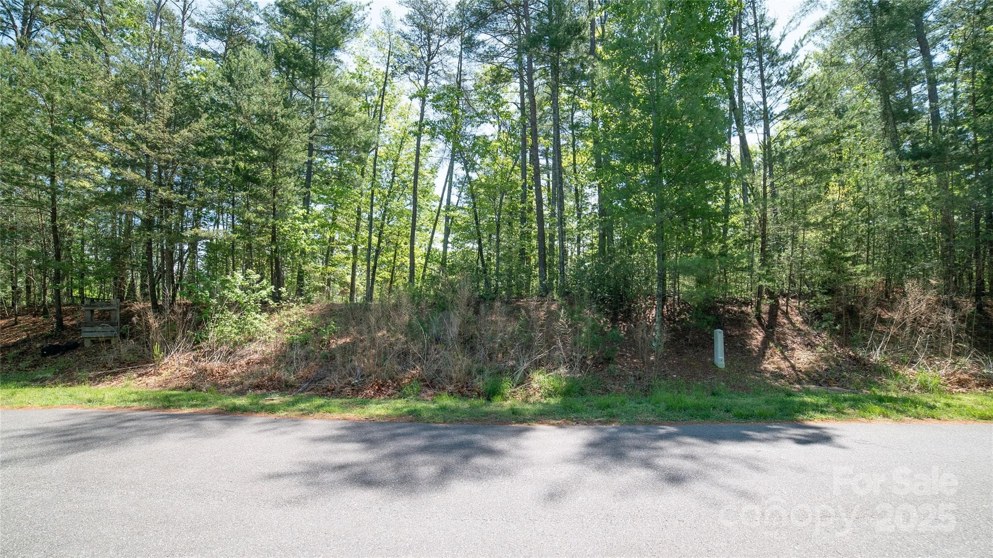 Lot at Nebo, photo 7 of 28