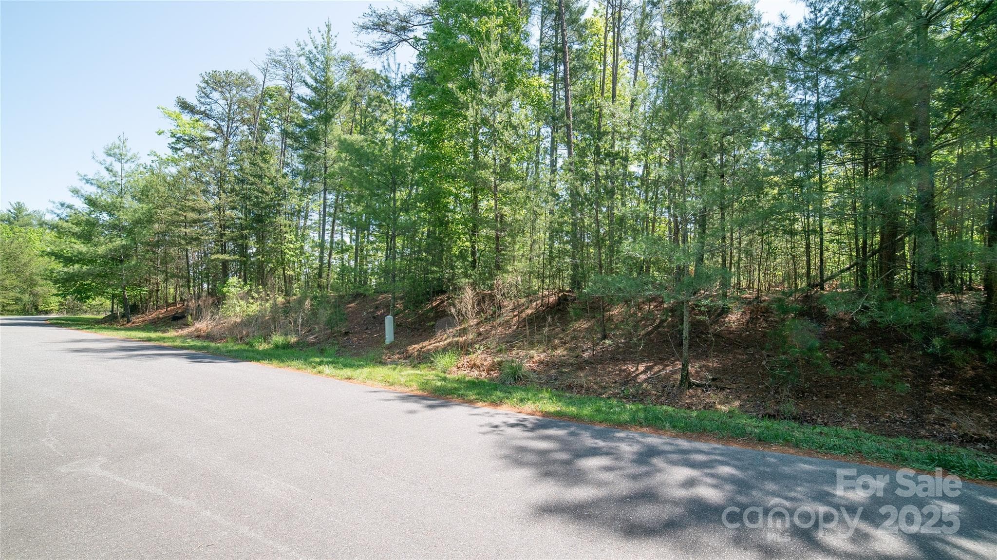 Lot at Nebo, photo 8 of 28