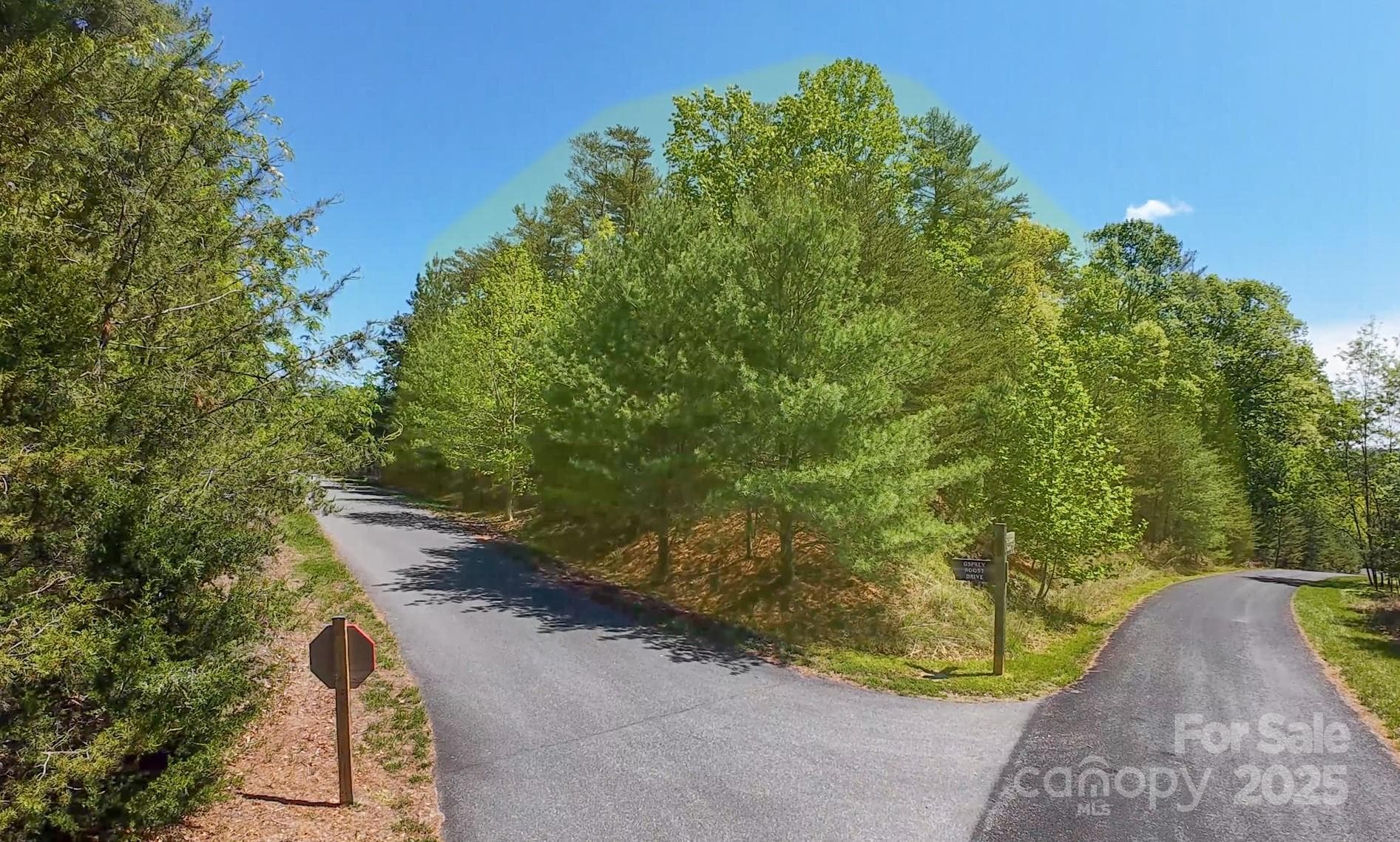 Lot at Nebo, photo 9 of 28