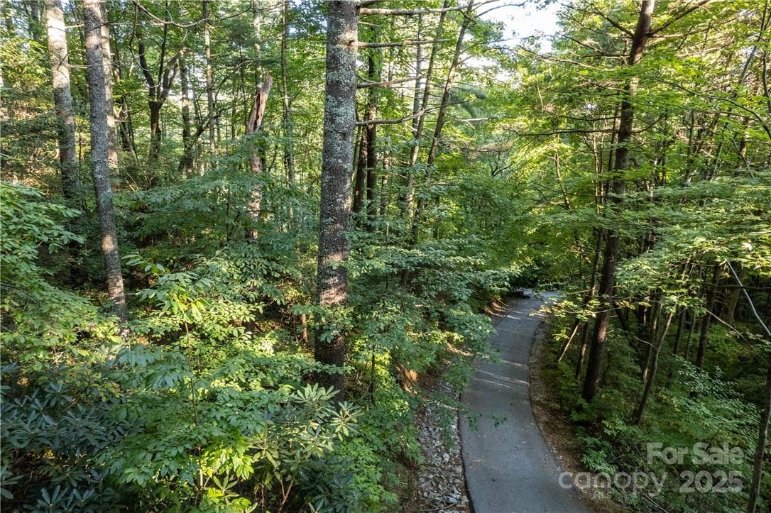 Lot at Lake Toxaway, photo 7 of 22