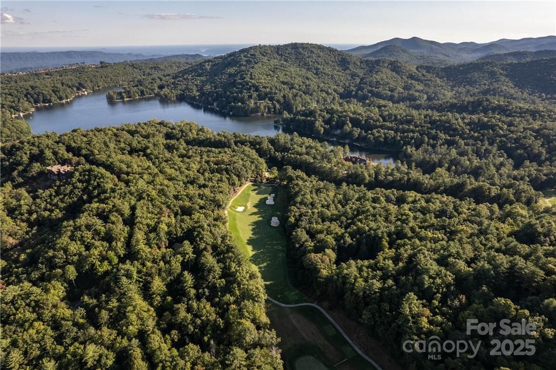Lot at Lake Toxaway, photo 10 of 22