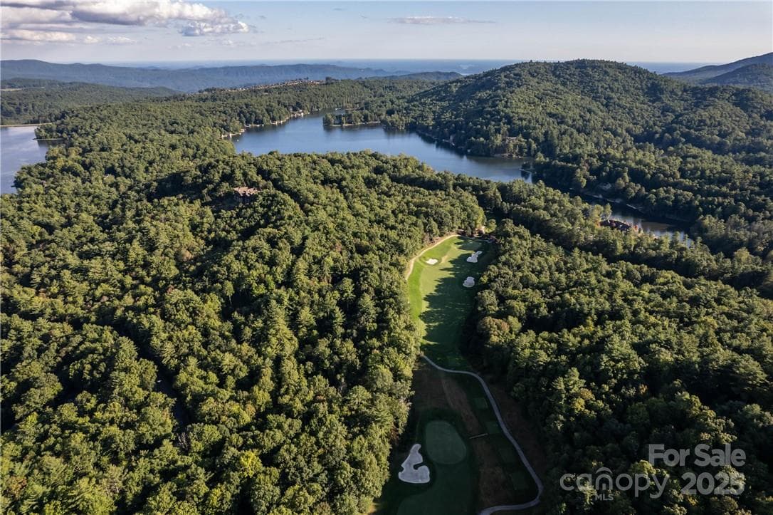 Lot at Lake Toxaway, photo 11 of 22