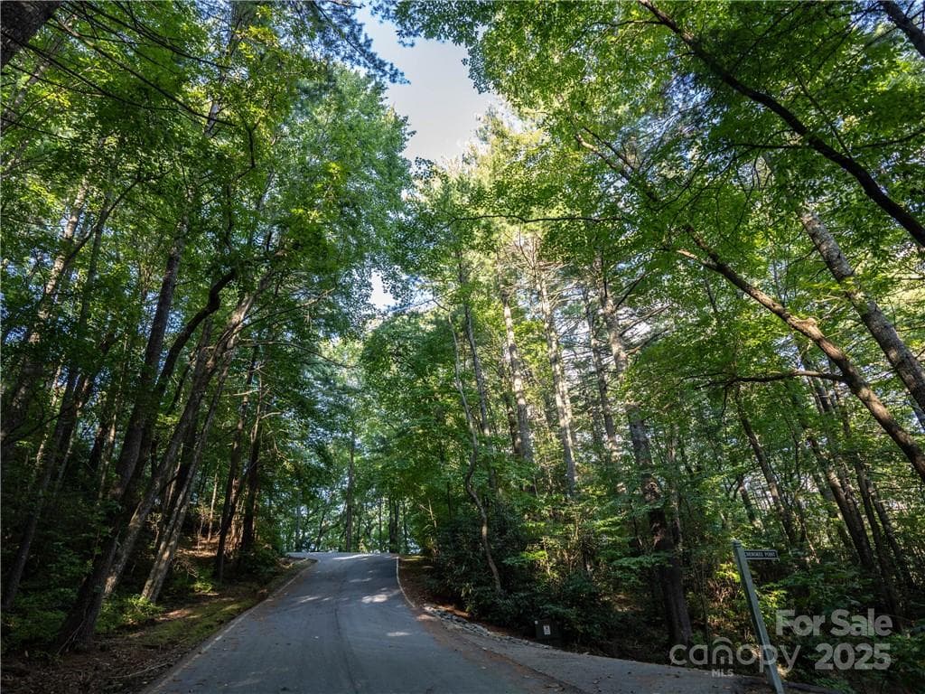 Lot at Lake Toxaway, photo 18 of 22