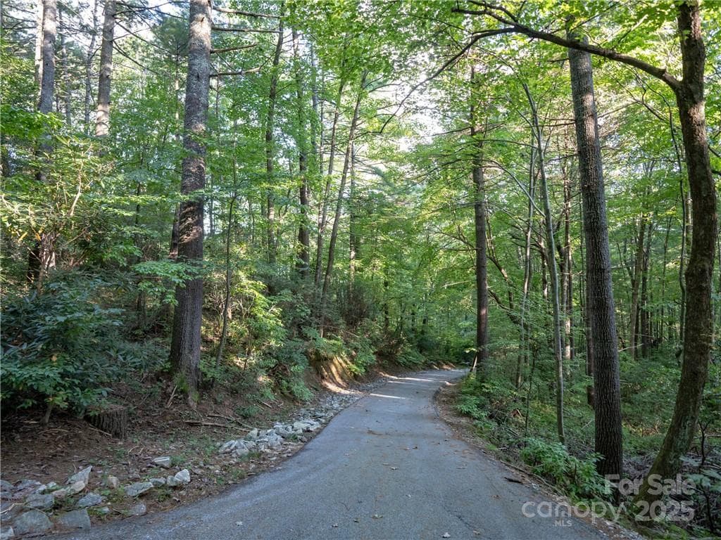 Lot at Lake Toxaway, photo 19 of 22