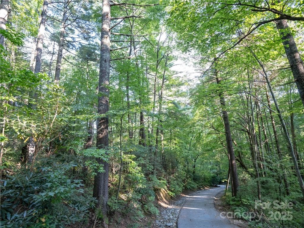 Lot at Lake Toxaway, photo 20 of 22