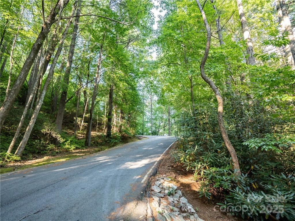 Lot at Lake Toxaway, photo 21 of 22