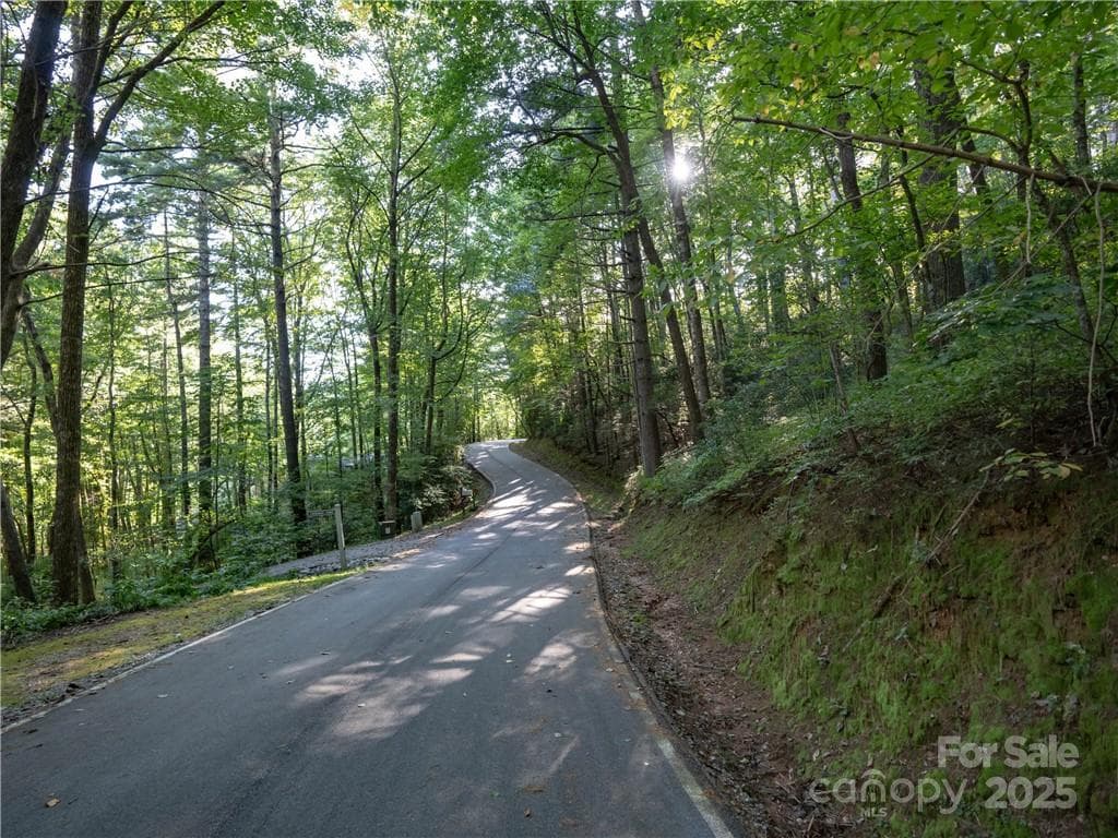 Lot at Lake Toxaway, photo 22 of 22