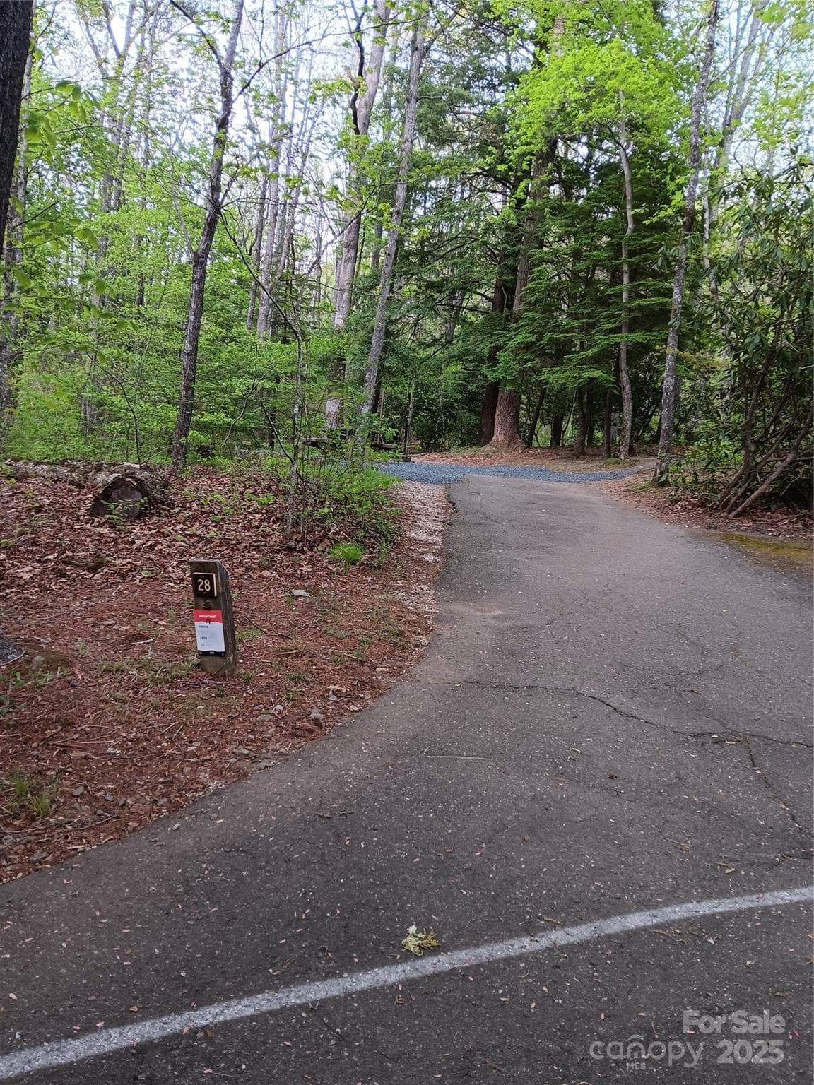 Campsite at Carolina Hemlocks Campground, Pisgah National Forest - approximately 2 miles from land - Burnsville