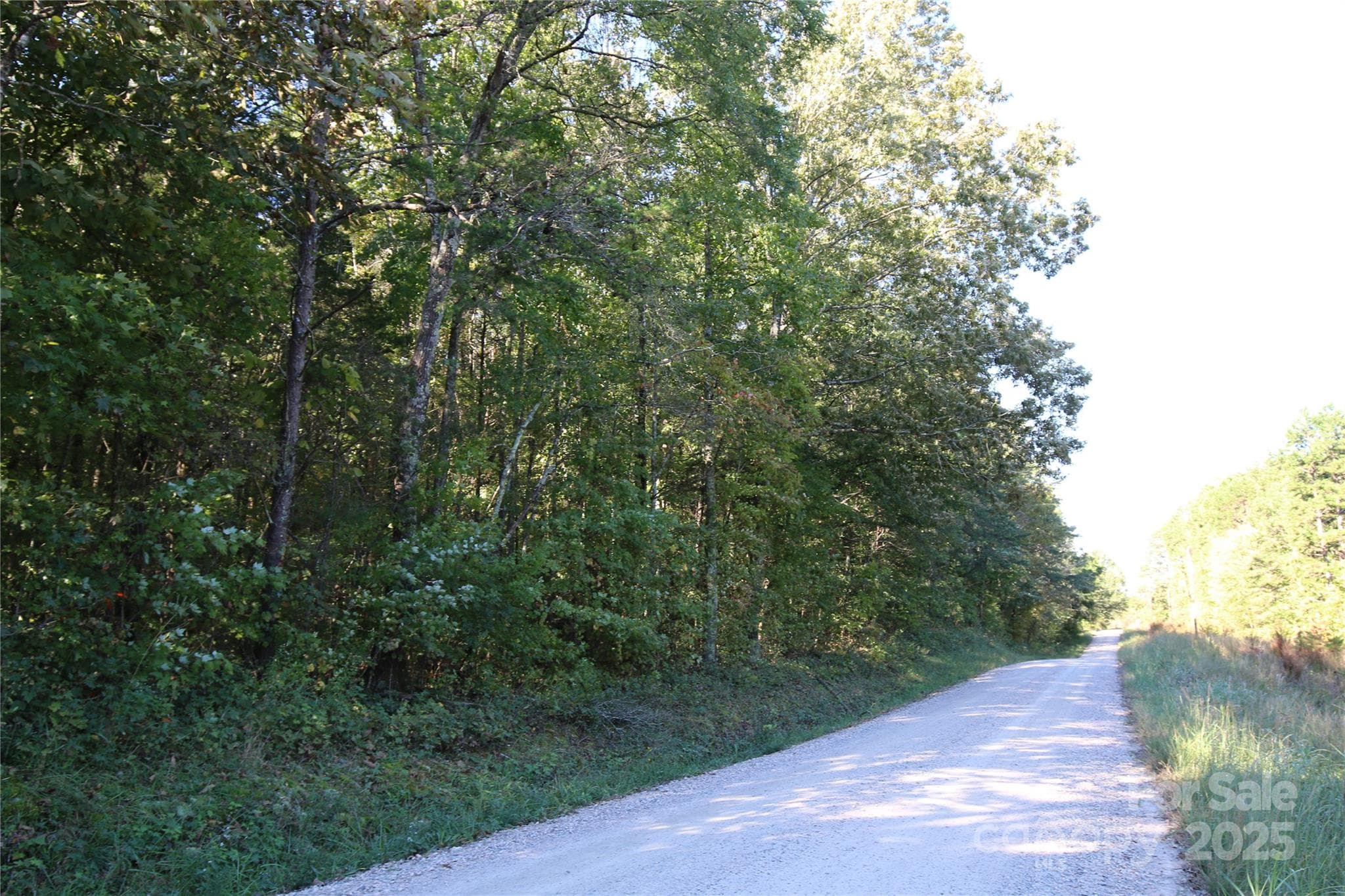 Toward Lower Stone Church Road - 0 Tobas Road, Rockwell