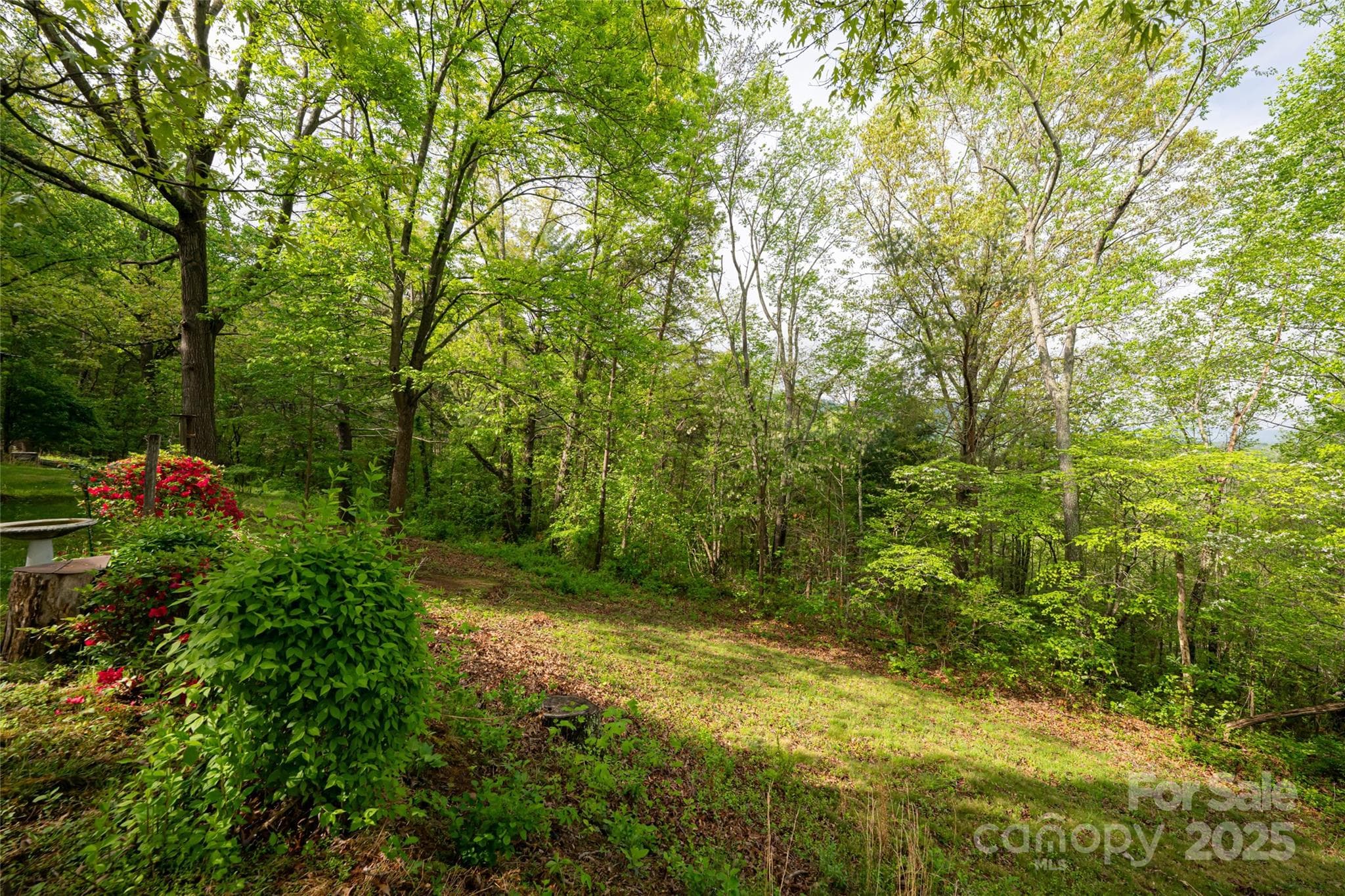 Single Family Residence at Weaverville, photo 21 of 29