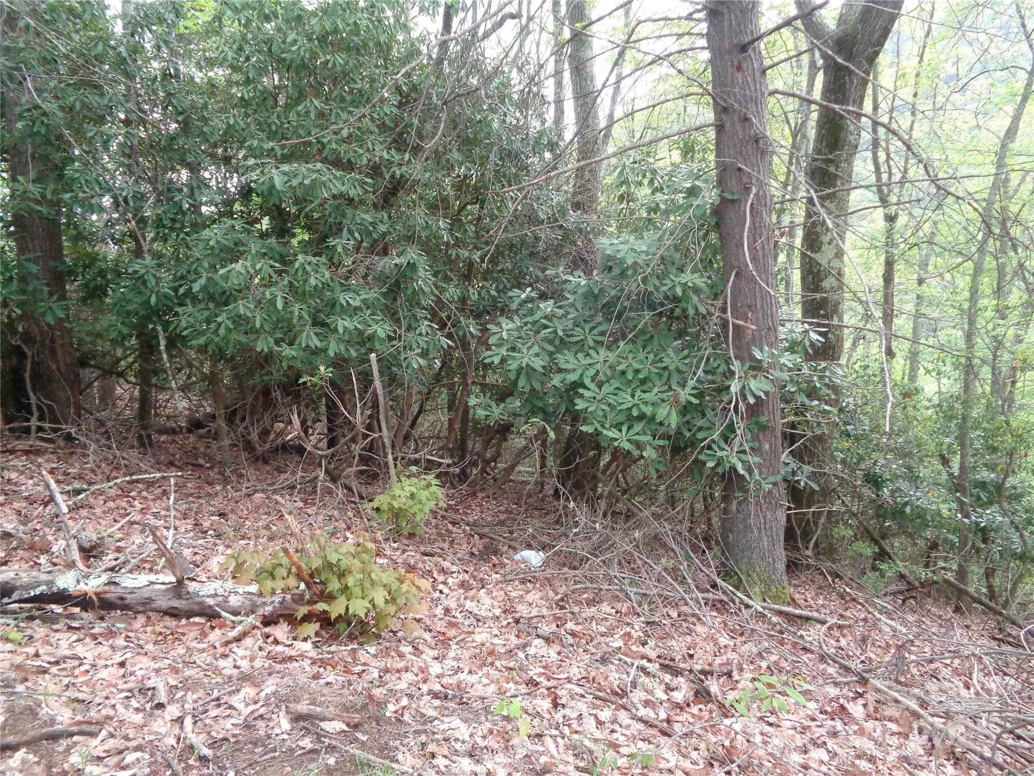Lot at Canton, photo 6 of 23