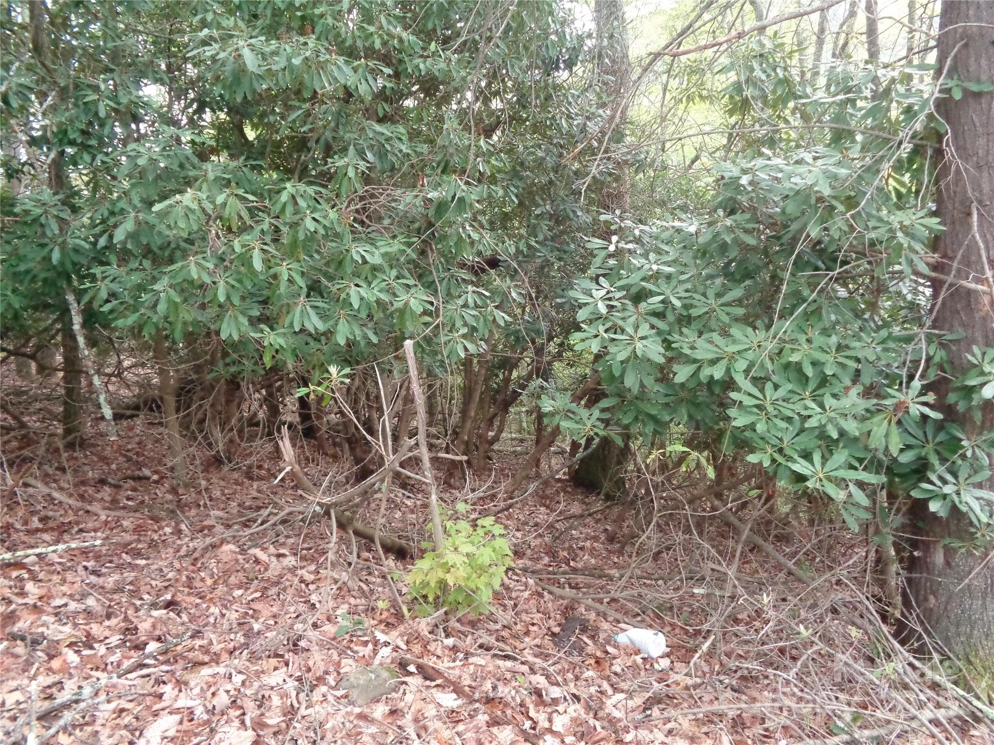 Lot at Canton, photo 8 of 23