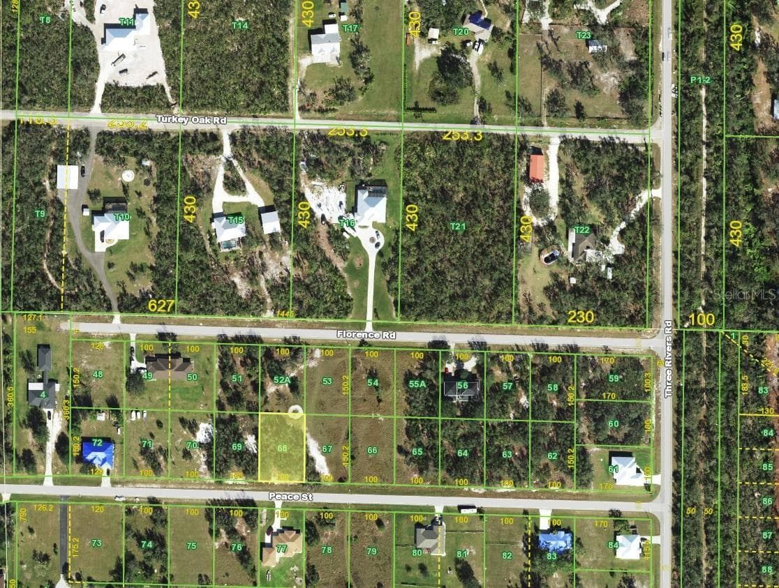 Land at 31062 PEACE ST, PUNTA GORDA, photo 4 of 4