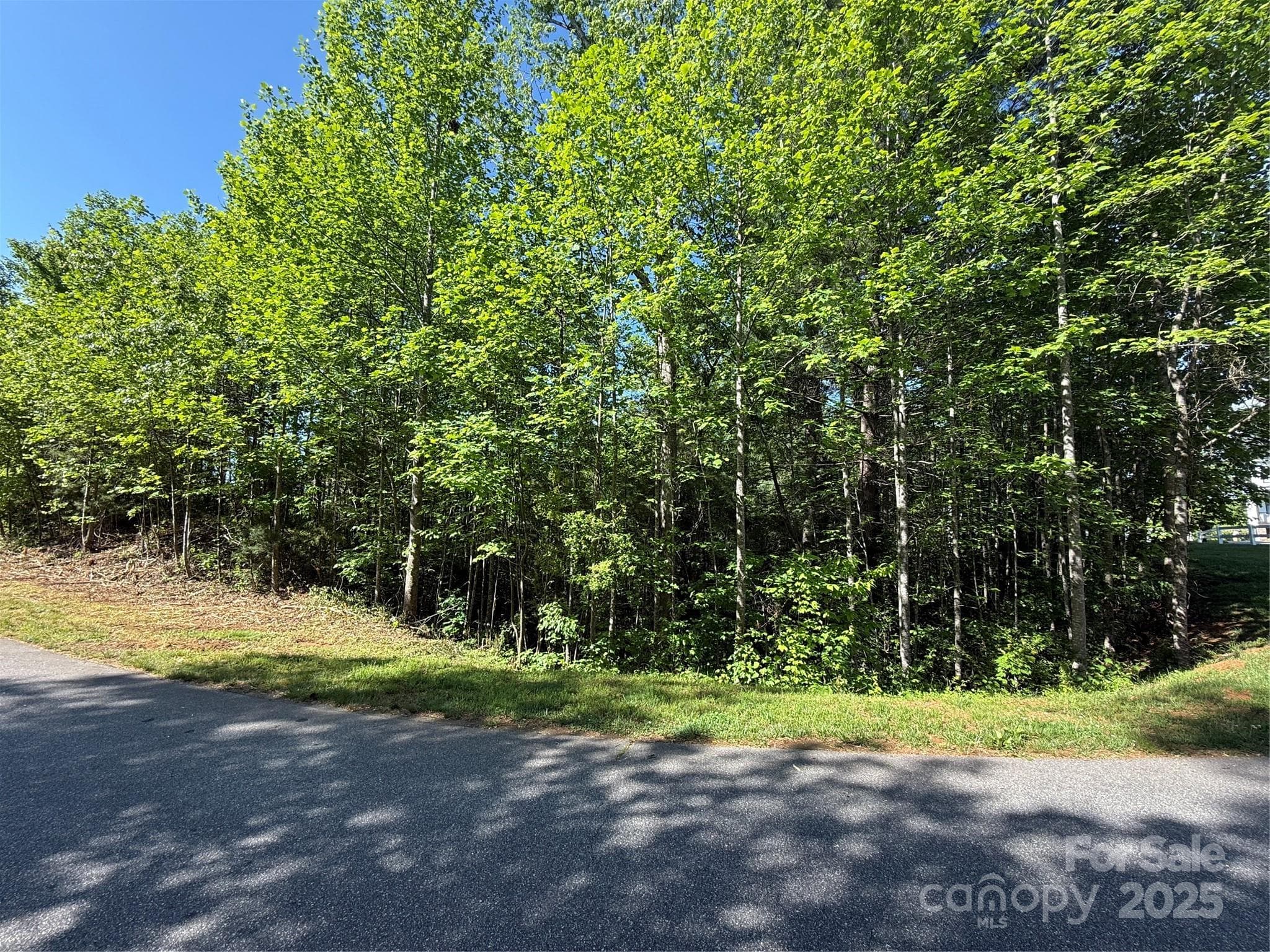 Lot at Lot 280 WHITMAN Court, Taylorsville, photo 2 of 4