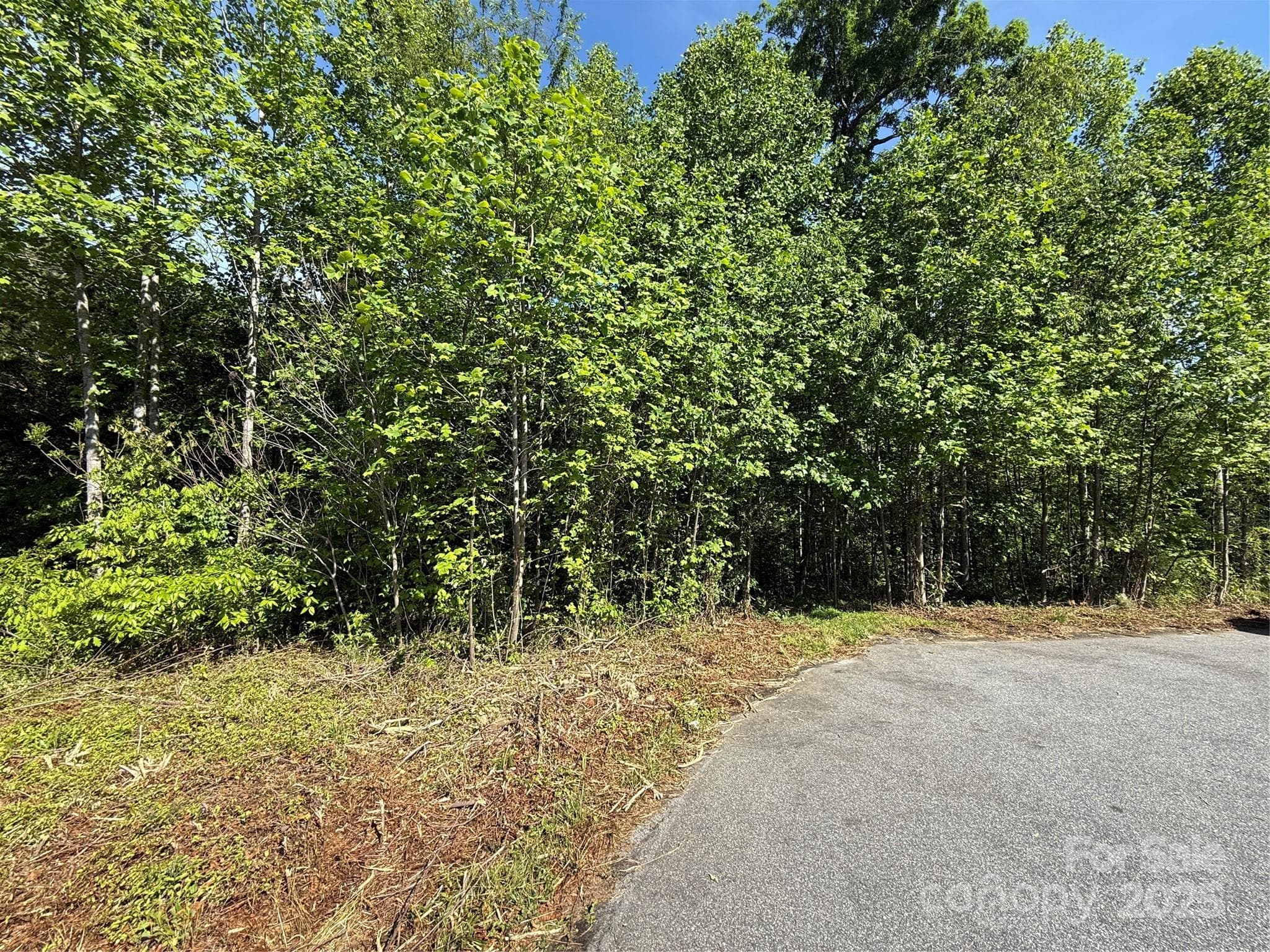 Lot at Lot 263 RILEY Drive, Taylorsville, photo 2 of 4