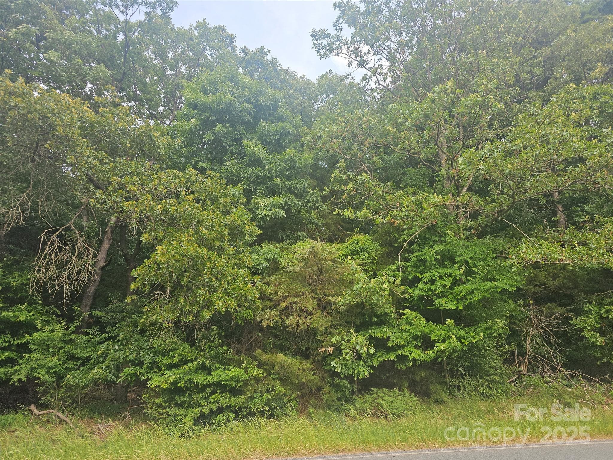 Acreage at Monroe, photo 7 of 16