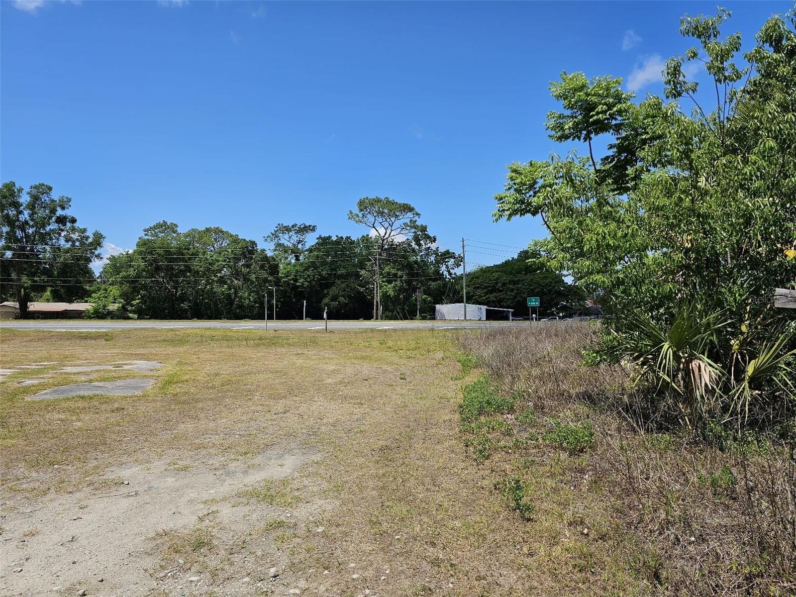 Land at S HWY 301, BELLEVIEW, photo 3 of 6