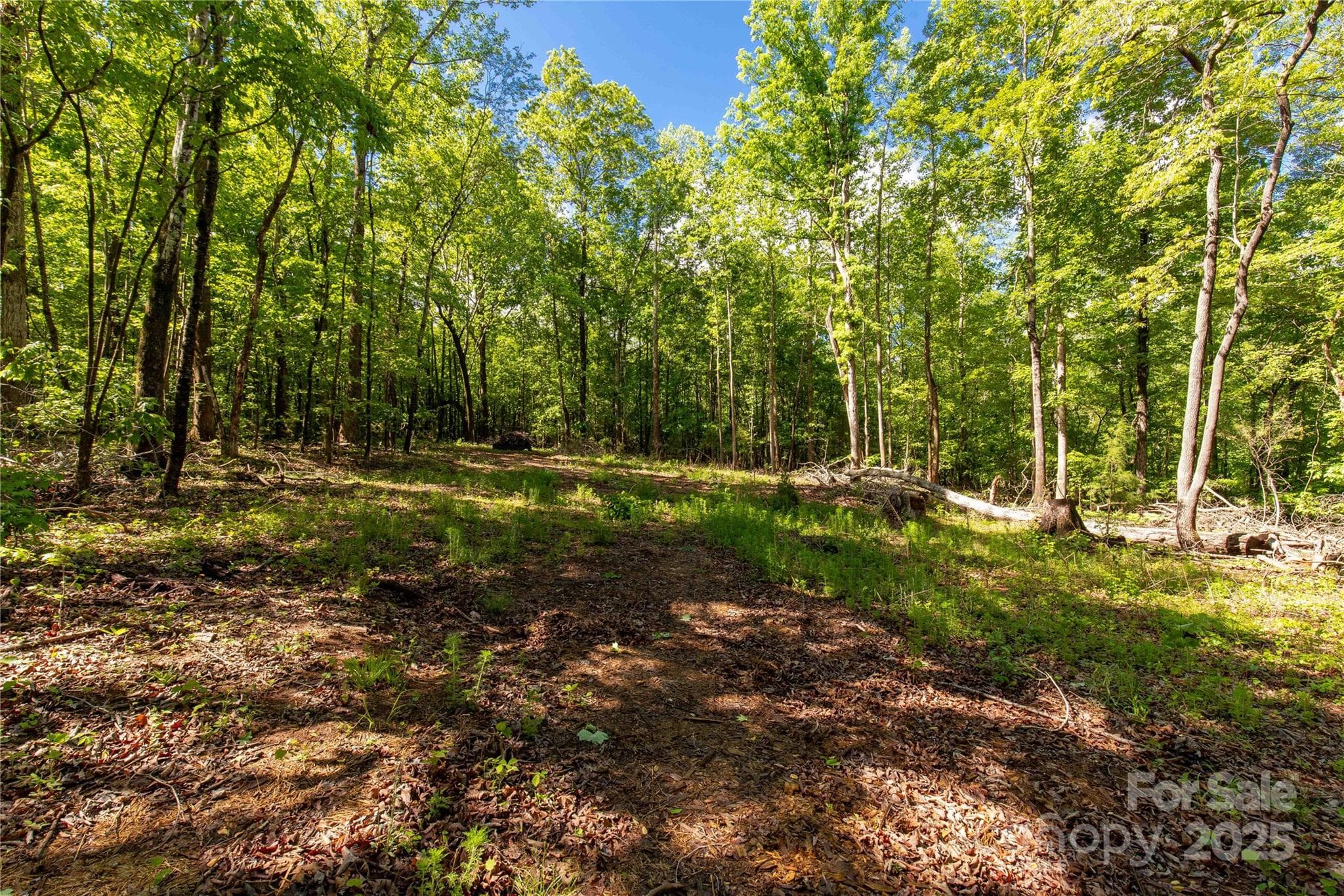 Acreage at Clover, photo 2 of 15