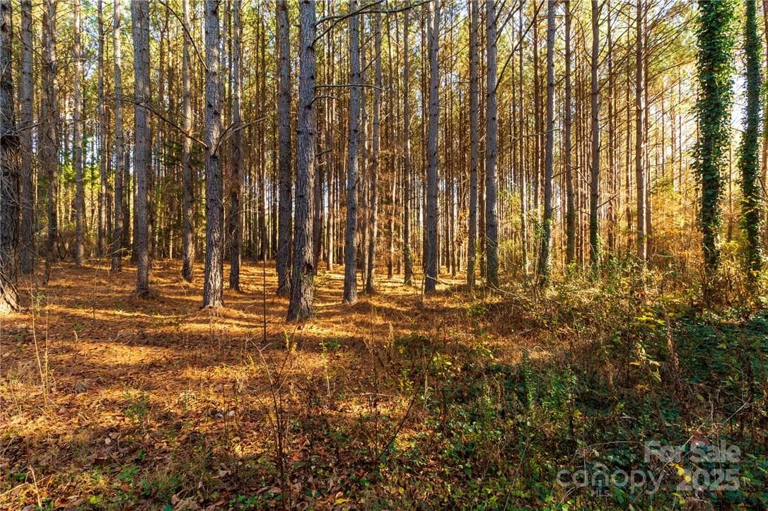 Acreage at 155 Patterson Road, Kings Mountain, photo 5 of 9