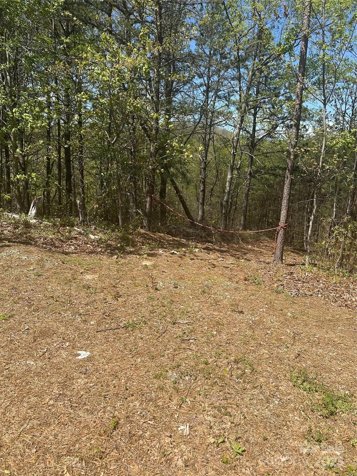 Acreage at 4027 Skyline Drive, Morganton, photo 3 of 5