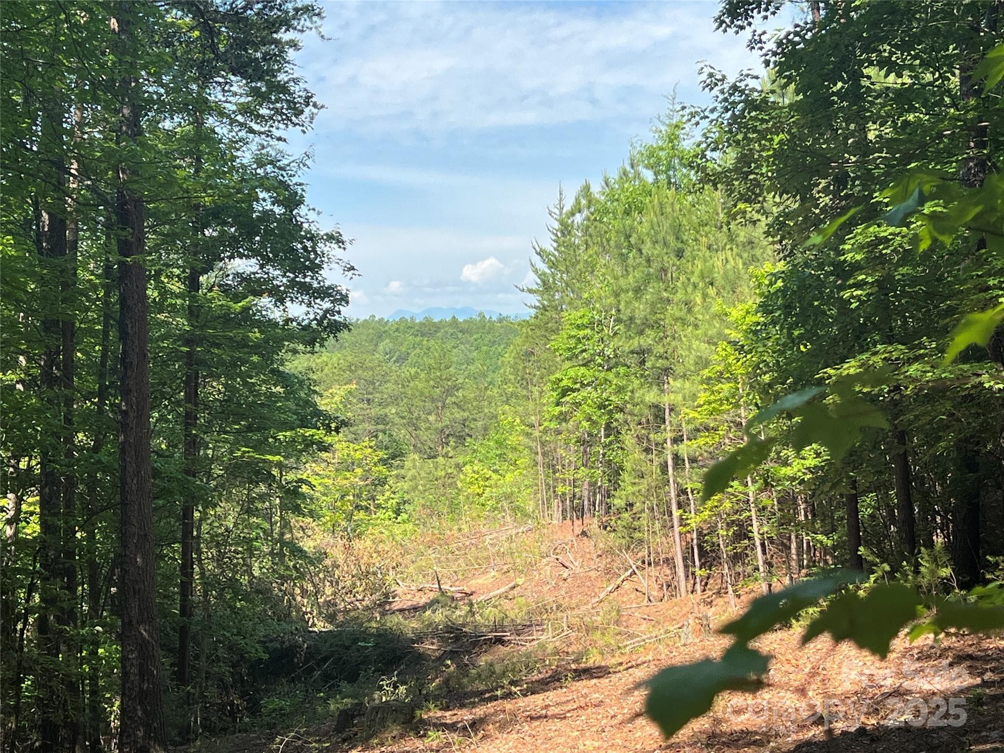 Lot at Nebo, photo 3 of 31