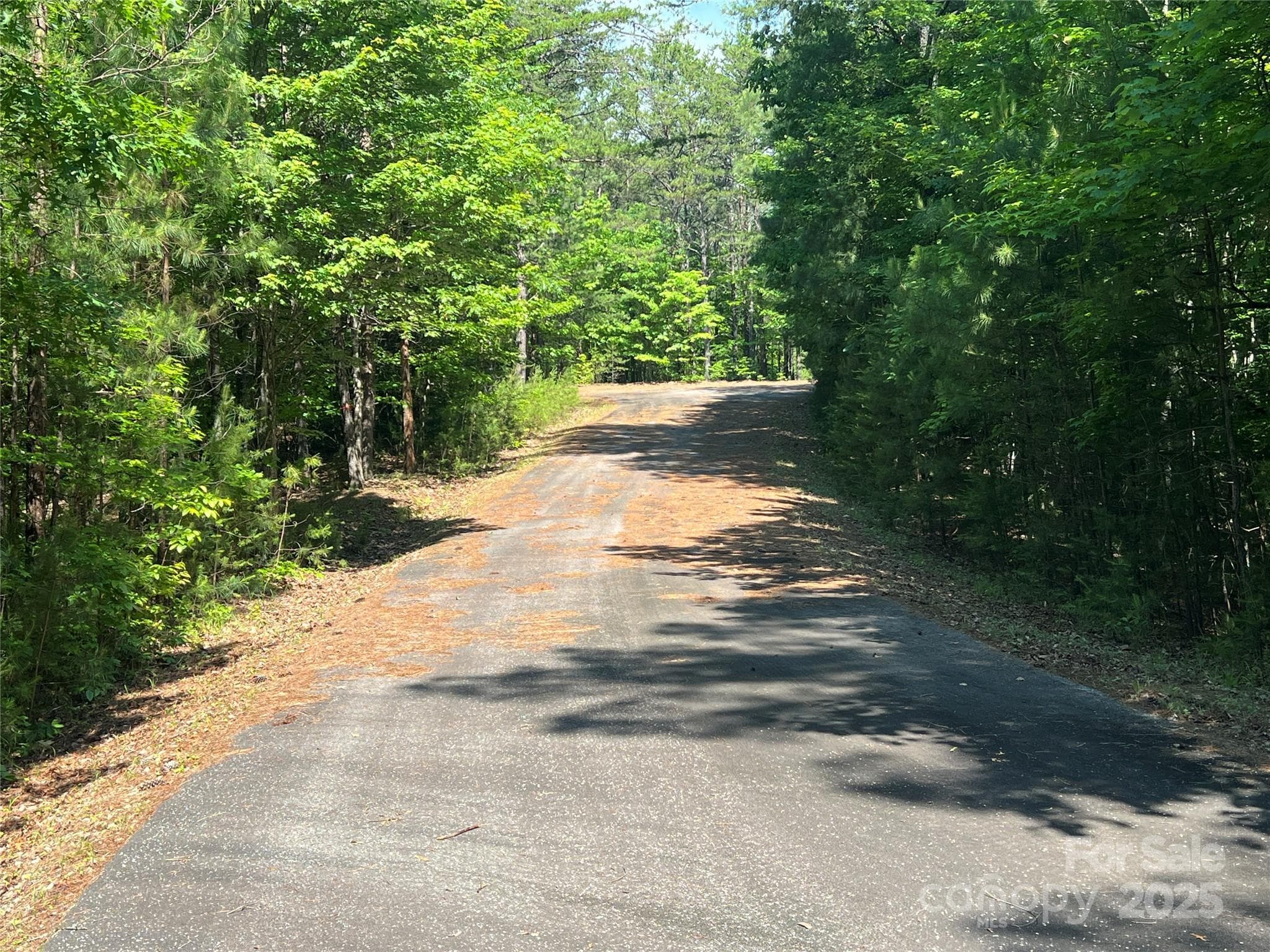 Lot at 0 South Mountain Drive, Nebo, photo 6 of 31