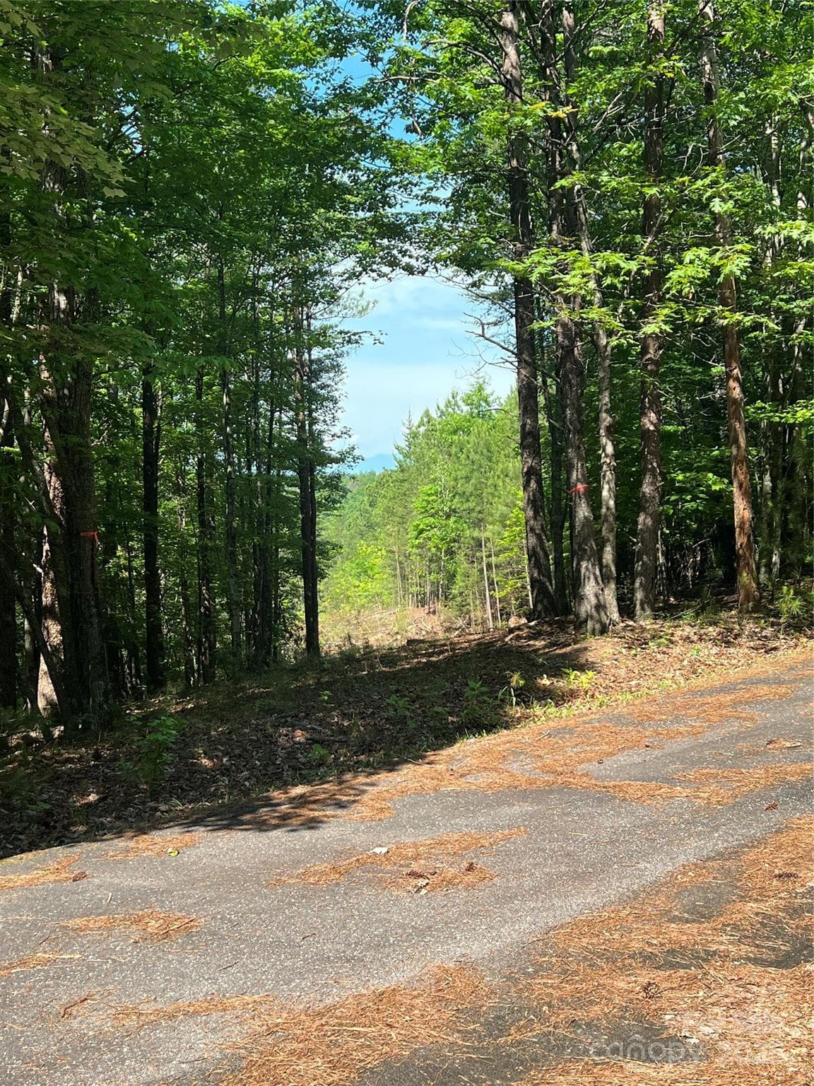 Lot at 0 South Mountain Drive, Nebo, photo 7 of 31