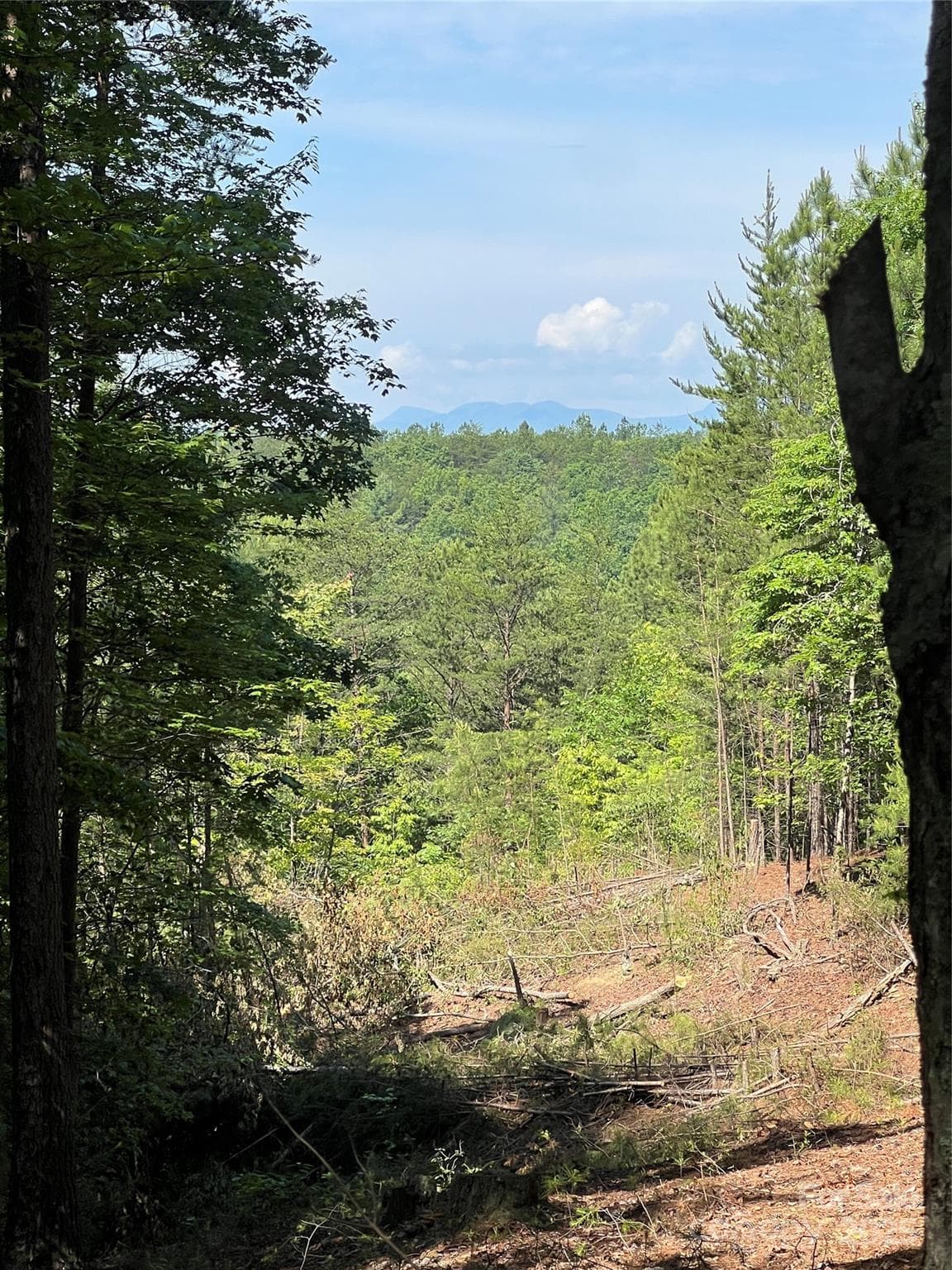 Lot at 0 South Mountain Drive, Nebo, photo 9 of 31