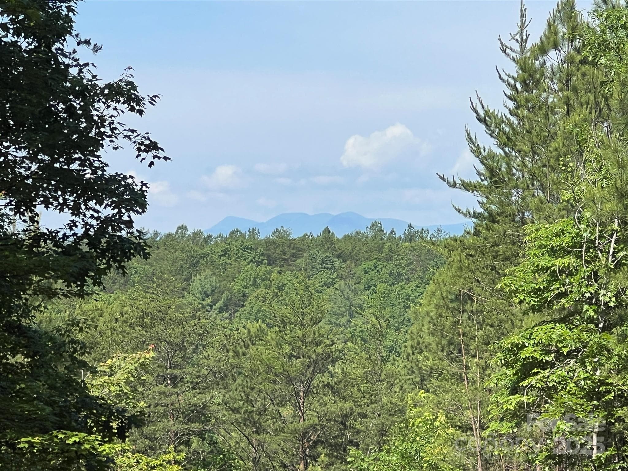 Lot at 0 South Mountain Drive, Nebo, photo 10 of 31