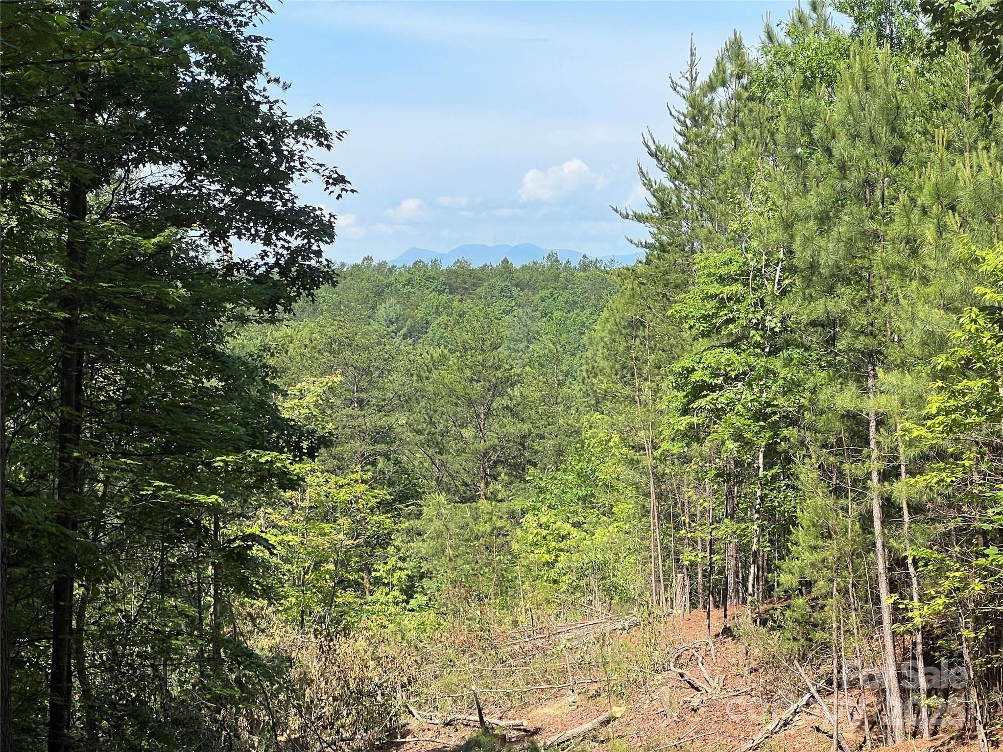 Lot at 0 South Mountain Drive, Nebo, photo 11 of 31