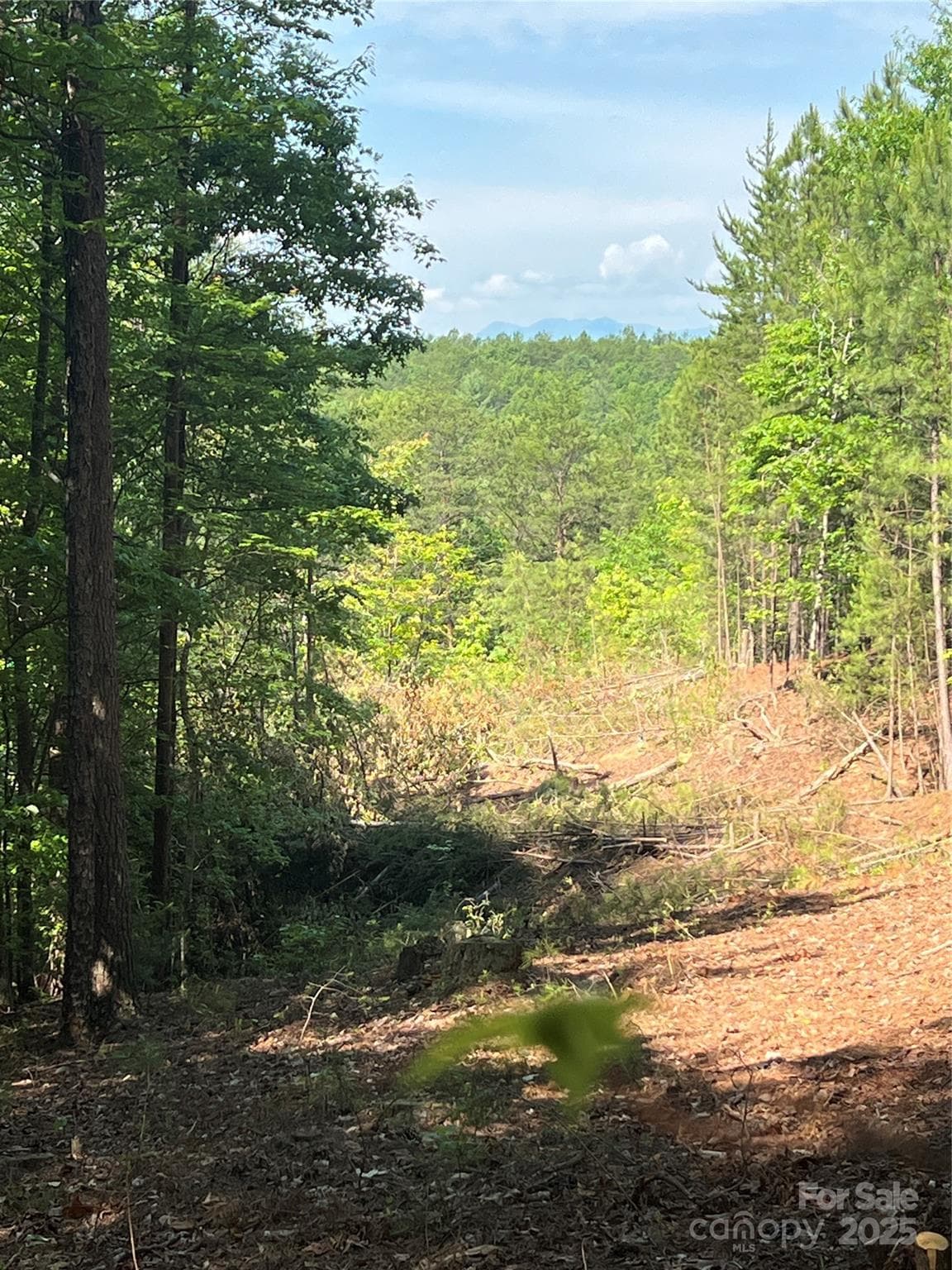 Lot at 0 South Mountain Drive, Nebo, photo 12 of 31
