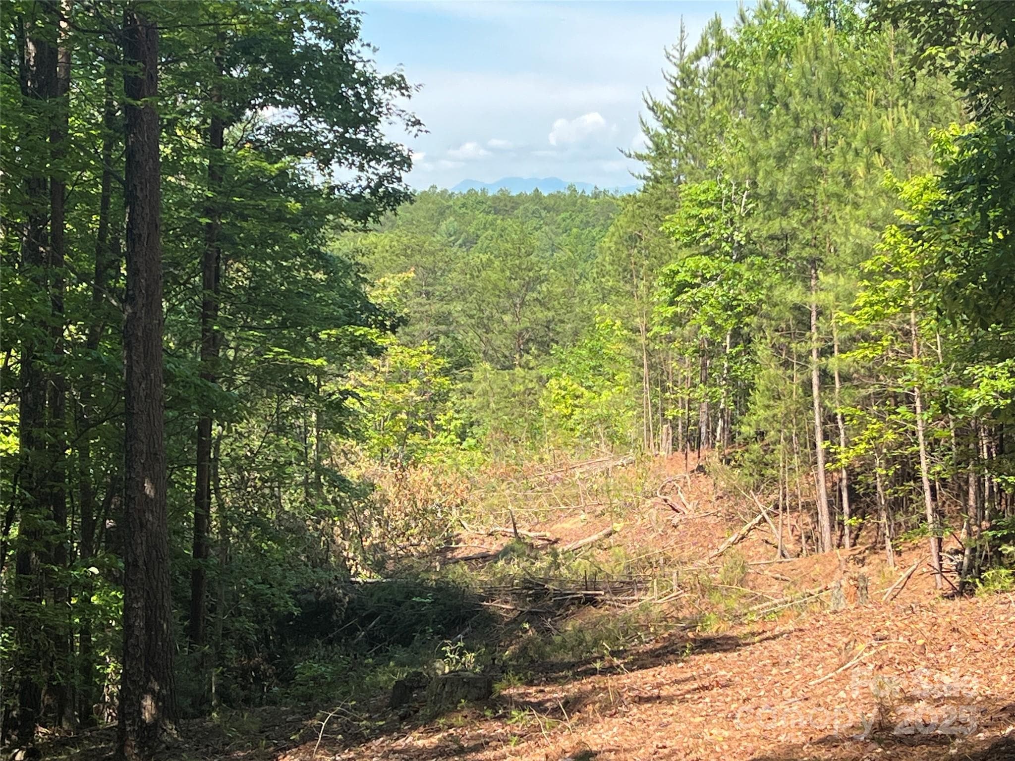 Lot at Nebo, photo 13 of 31