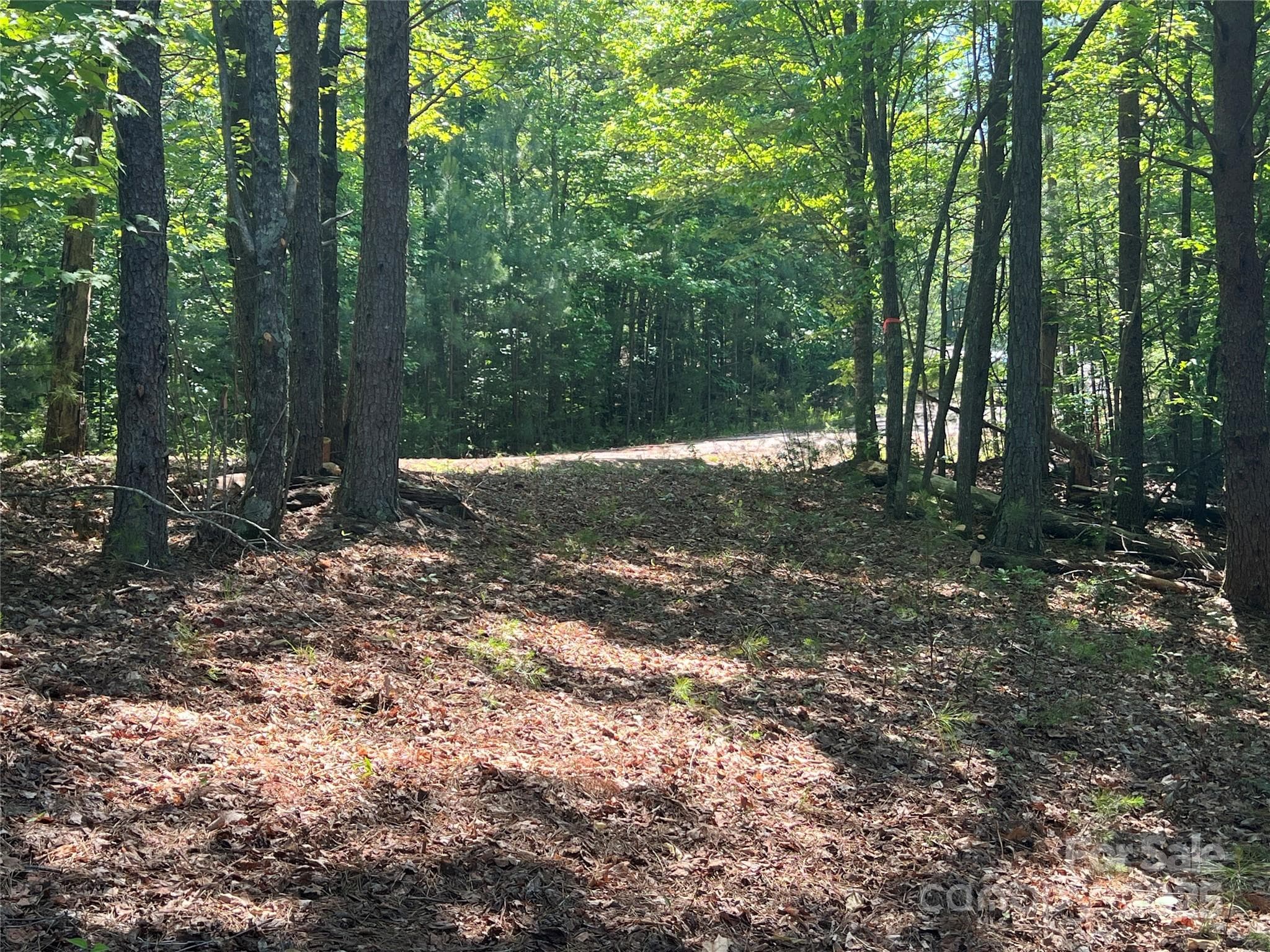Lot at 0 South Mountain Drive, Nebo, photo 14 of 31