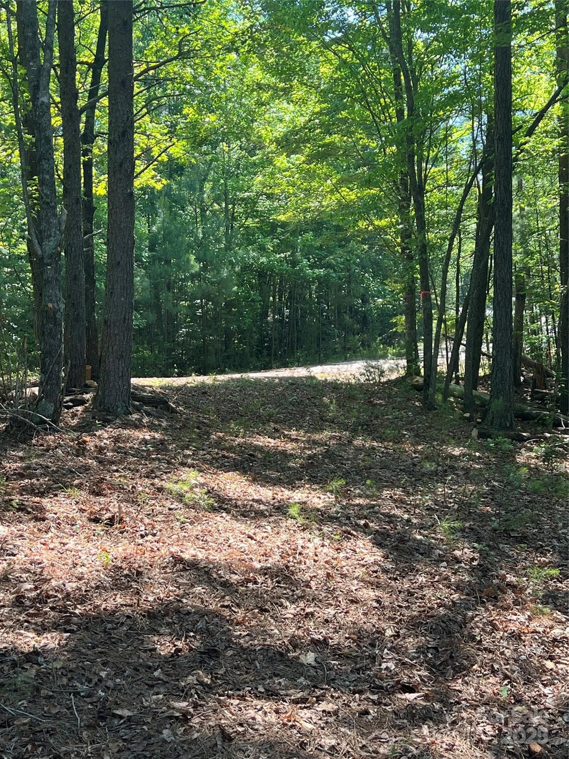 Lot at 0 South Mountain Drive, Nebo, photo 15 of 31