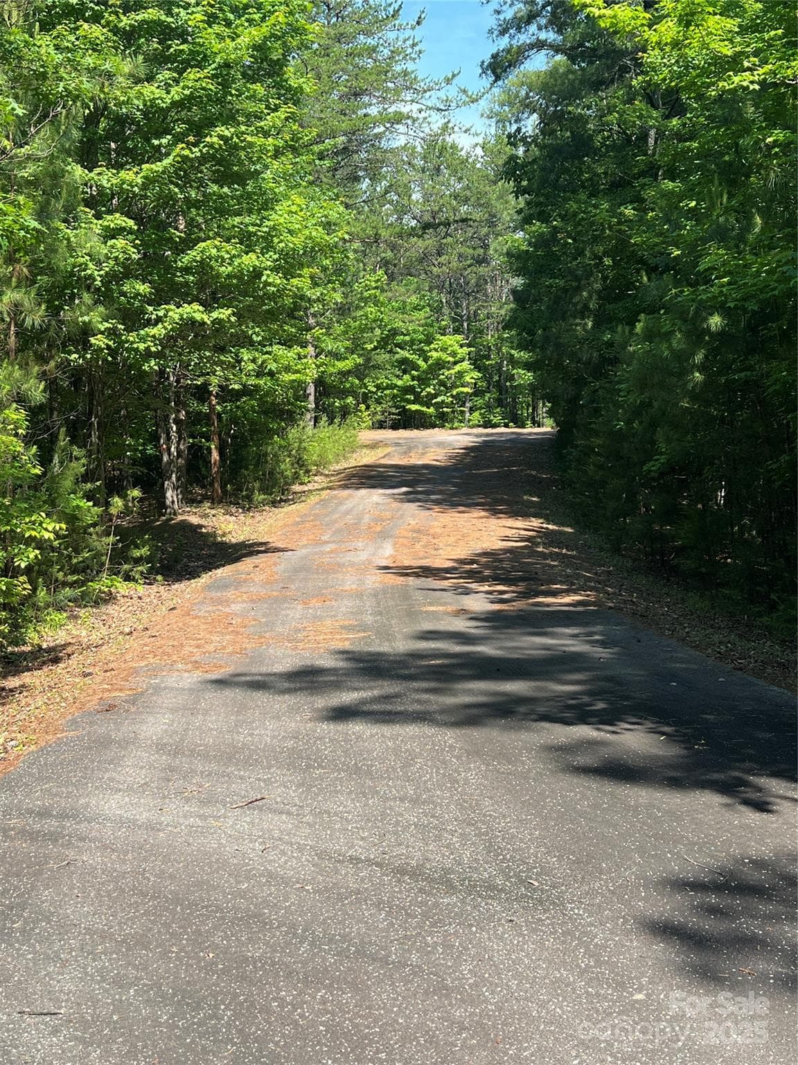 Lot at 0 South Mountain Drive, Nebo, photo 16 of 31