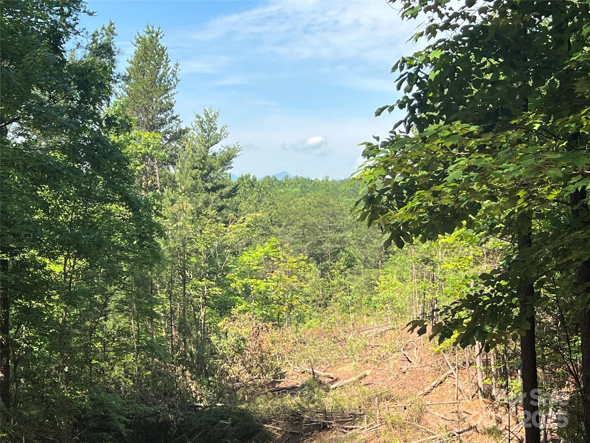 Lot at 0 South Mountain Drive, Nebo, photo 18 of 31