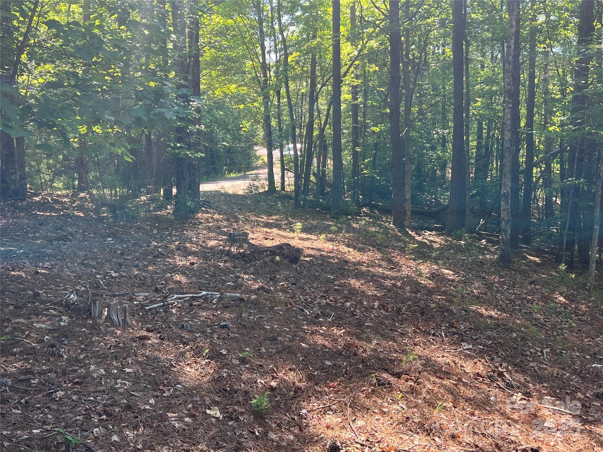 Lot at 0 South Mountain Drive, Nebo, photo 19 of 31