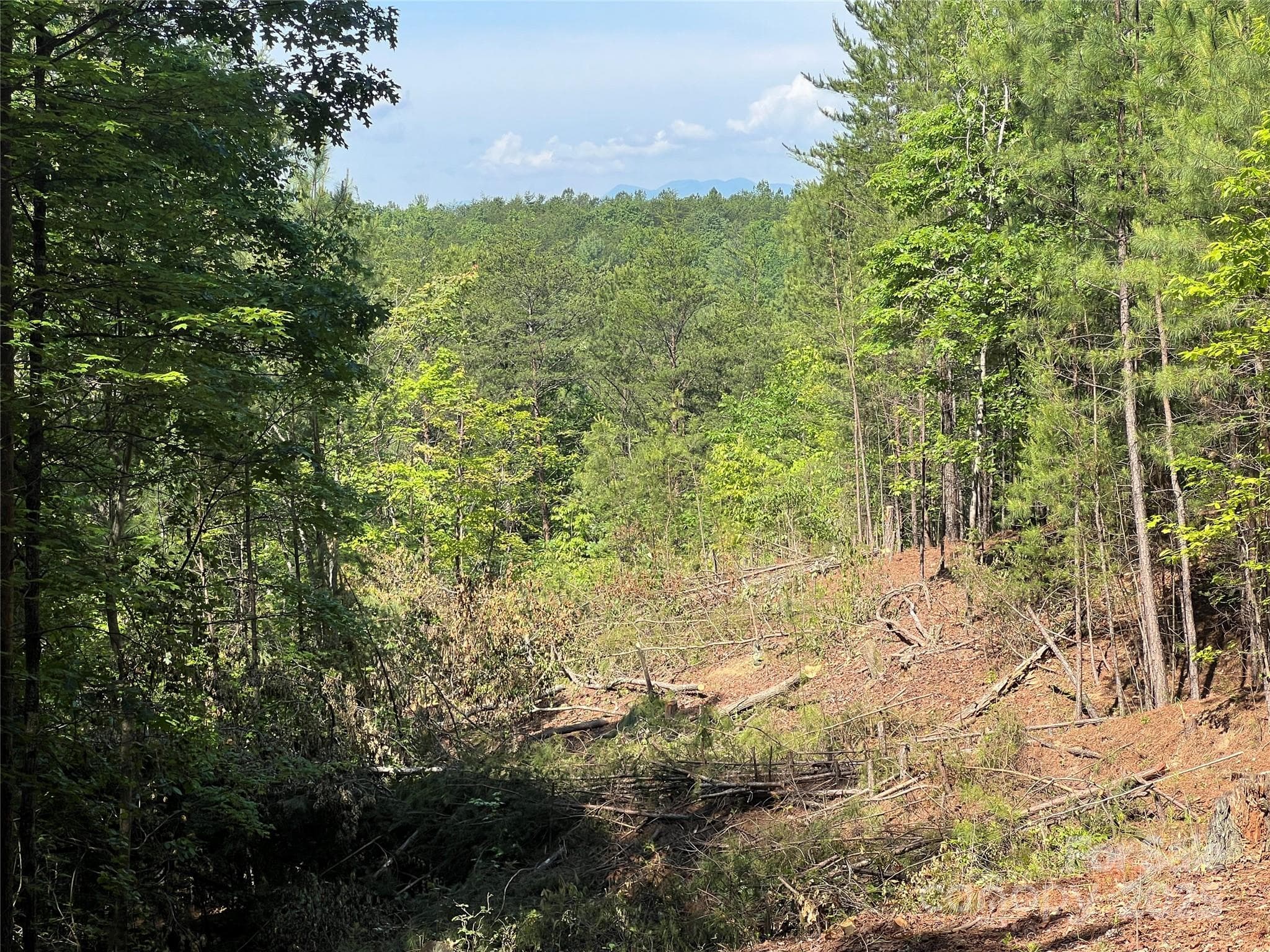 Lot at 0 South Mountain Drive, Nebo, photo 20 of 31