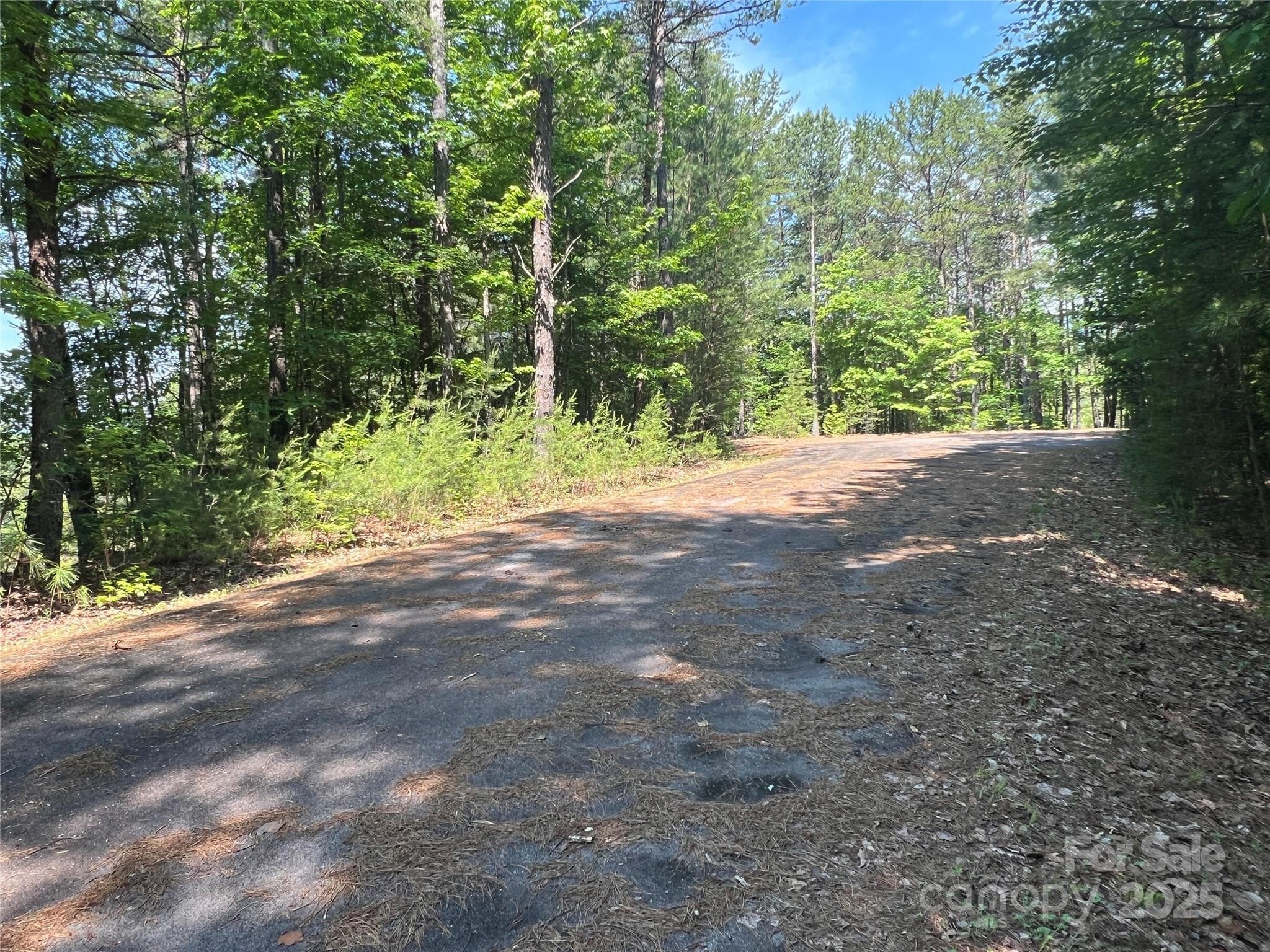 Lot at 0 South Mountain Drive, Nebo, photo 21 of 31