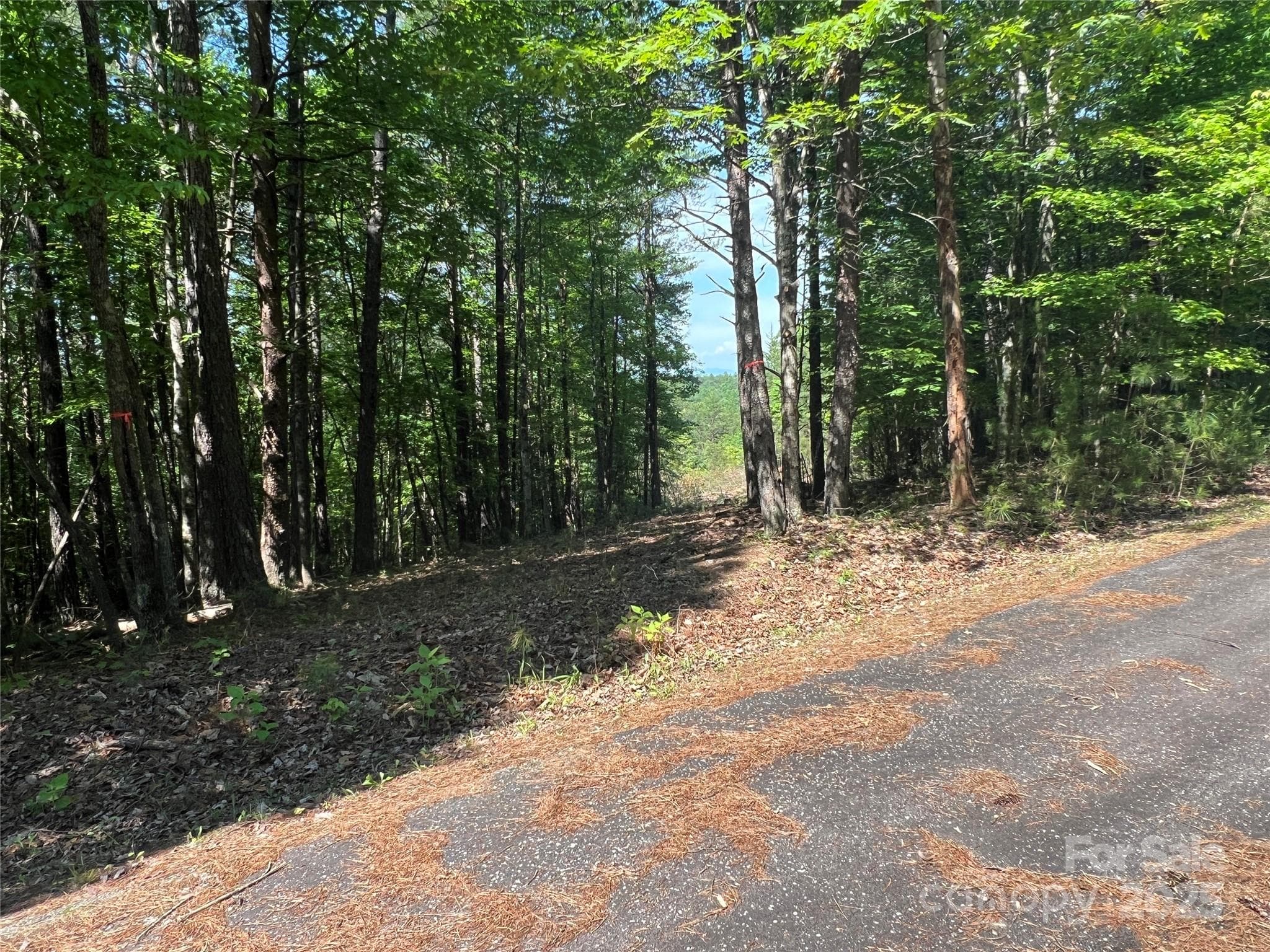 Lot at 0 South Mountain Drive, Nebo, photo 22 of 31