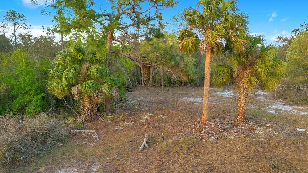 1411 SARASOTA CT