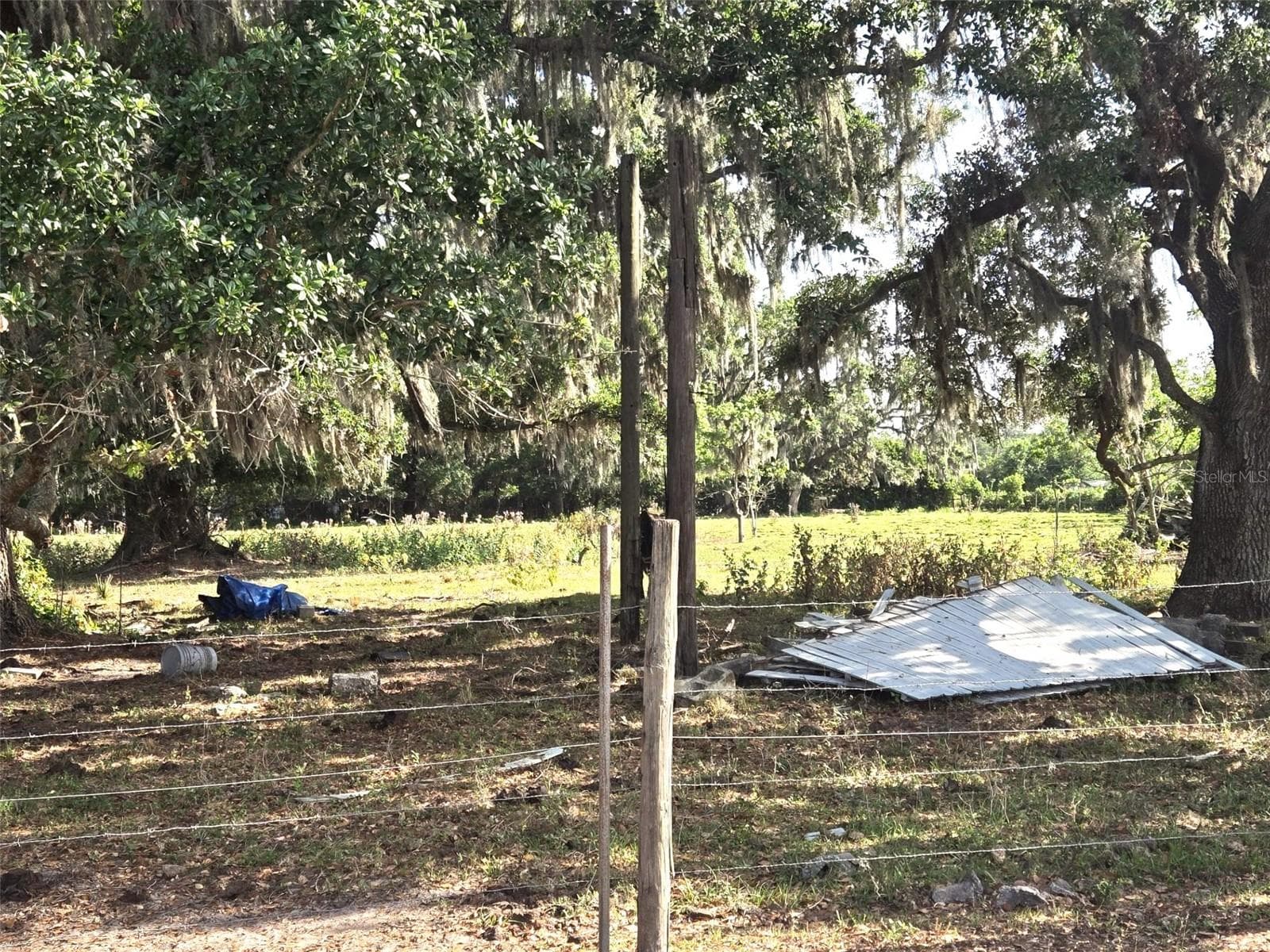 Single Family Residence at 3101 MEDULLA RD, PLANT CITY, photo 53 of 85