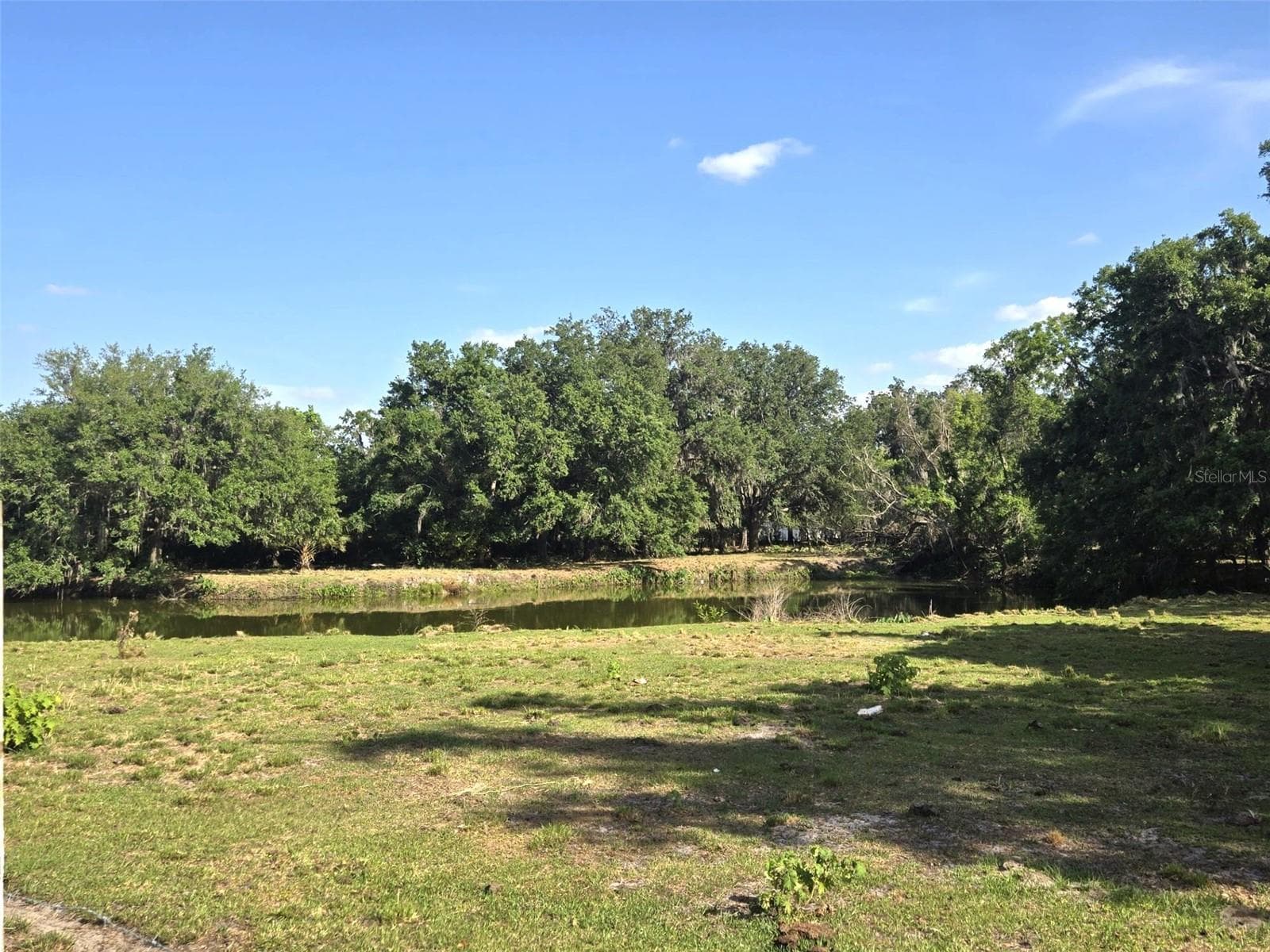 Single Family Residence at 3101 MEDULLA RD, PLANT CITY, photo 58 of 85
