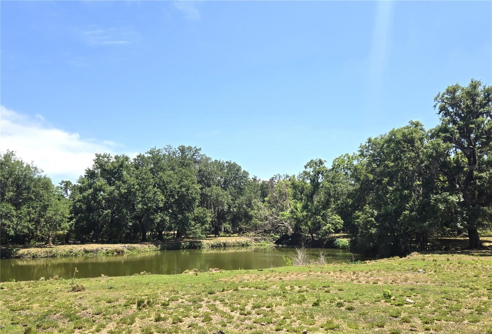 Single Family Residence at 3101 MEDULLA RD, PLANT CITY, photo 59 of 85