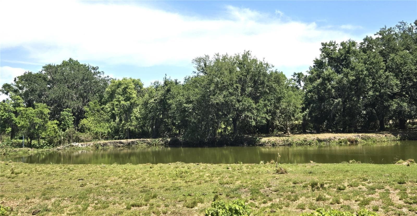 Single Family Residence at 3101 MEDULLA RD, PLANT CITY, photo 62 of 85
