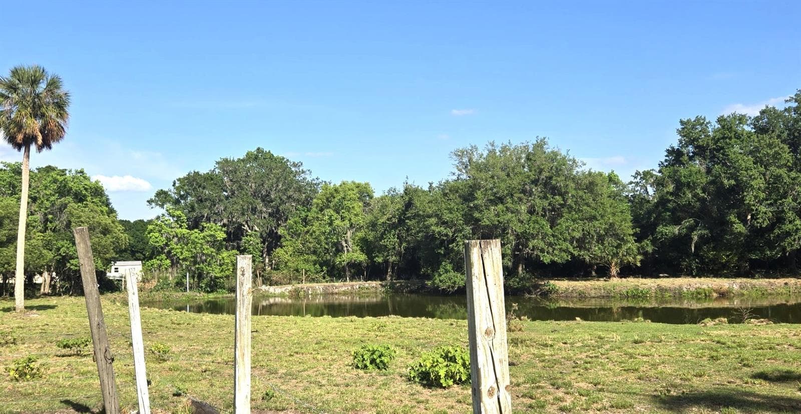 Single Family Residence at 3101 MEDULLA RD, PLANT CITY, photo 63 of 85